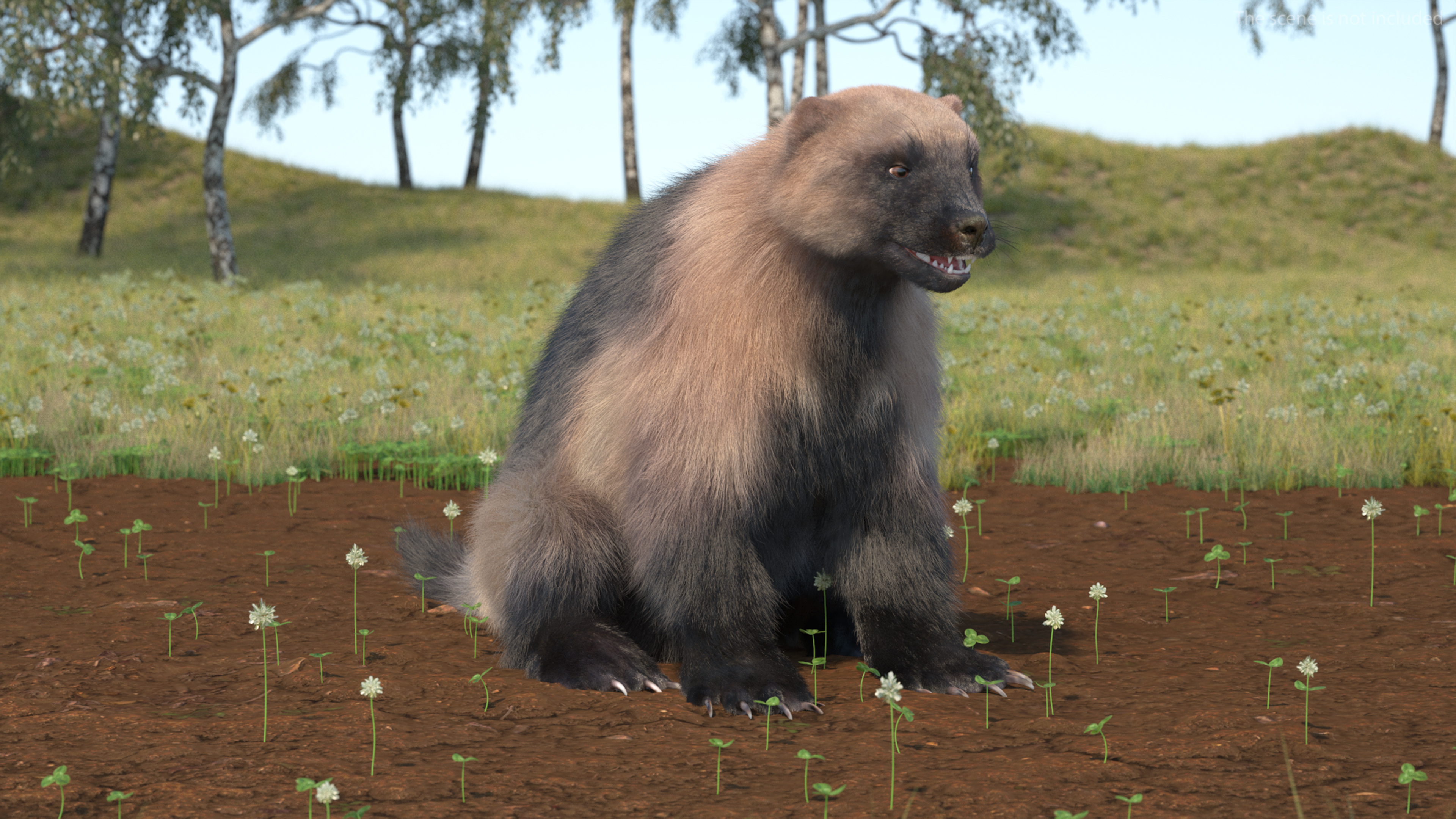Wolverine Light Color Fur Rigged 3D