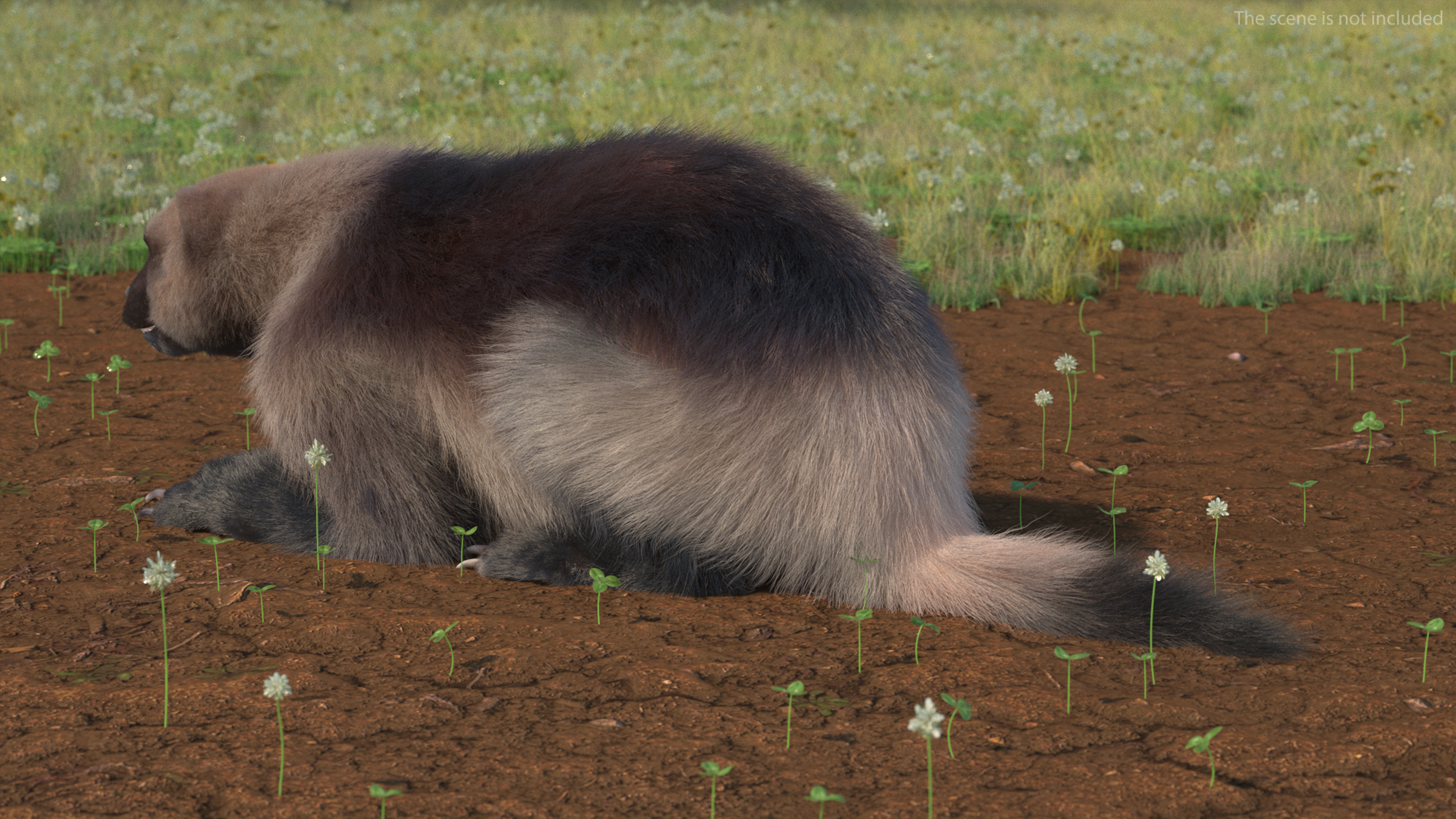 Wolverine Light Color Fur Rigged 3D