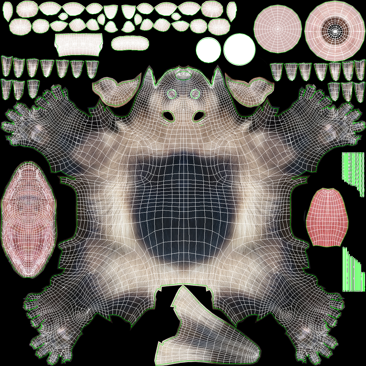 Wolverine Light Color Fur Rigged 3D