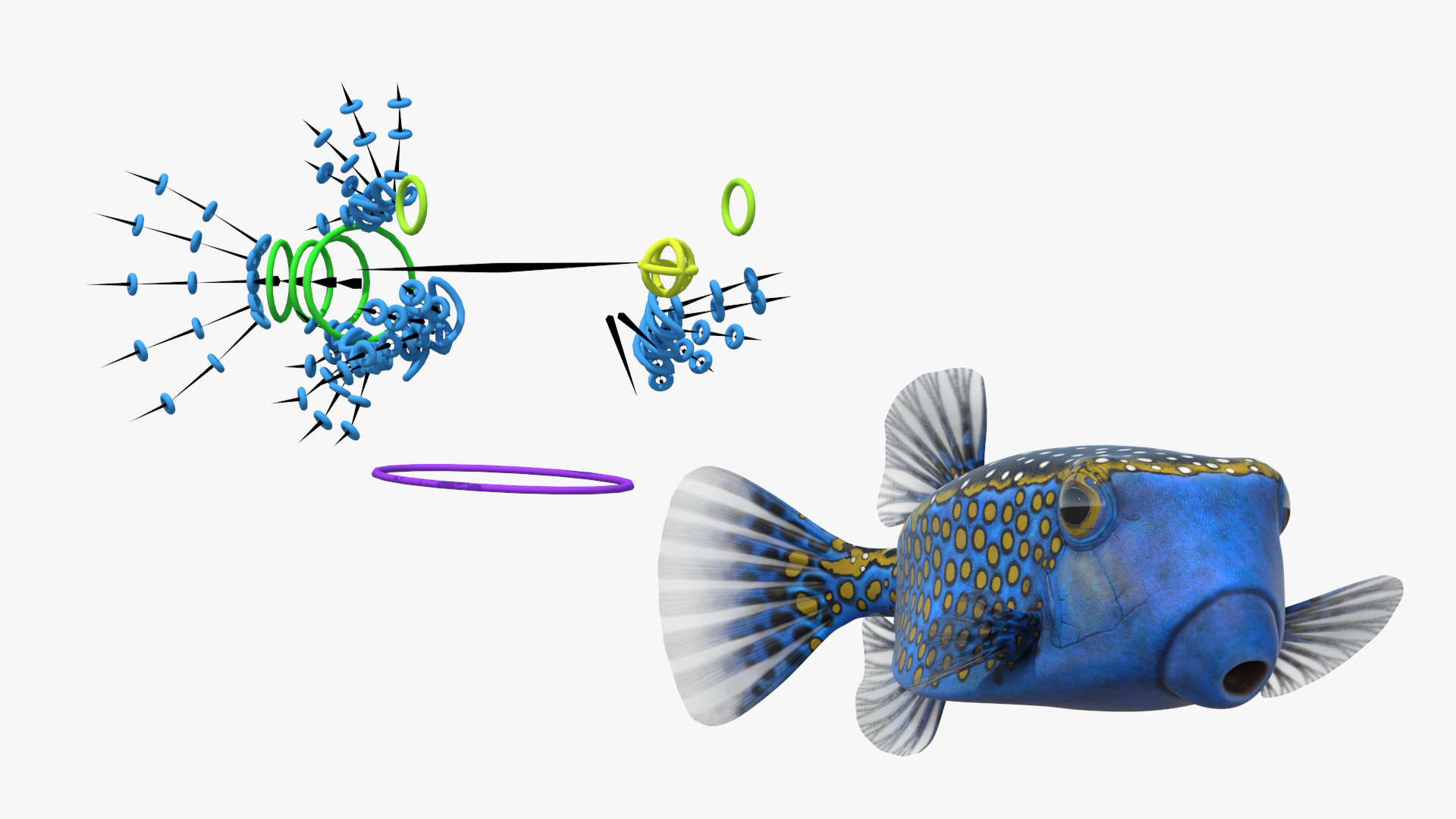 3D model Ostracion Meleagris Fish Blue Rigged for Cinema 4D