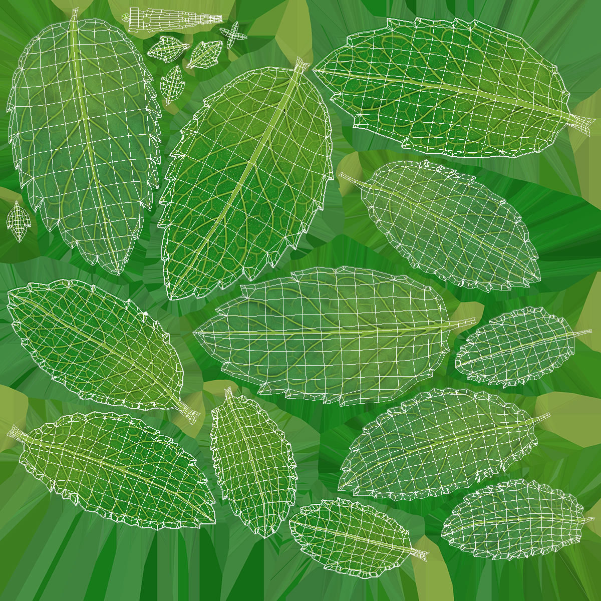 Fresh Mint Leaves 3D