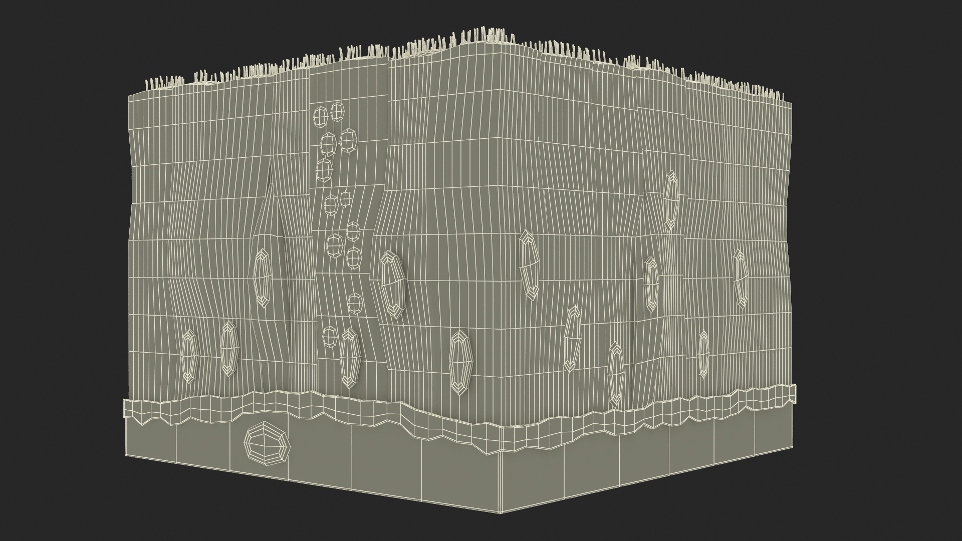 Ciliated Epithelium 3D model