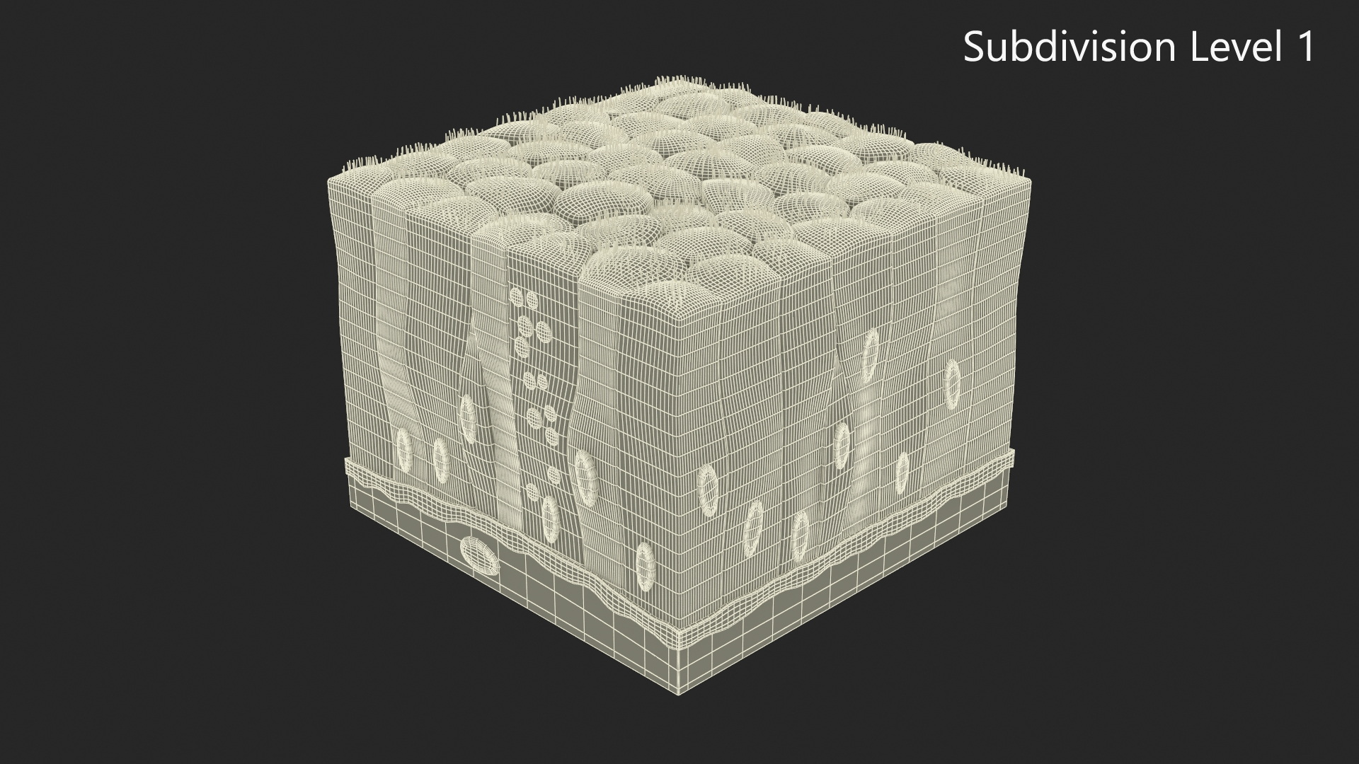 Ciliated Epithelium 3D model