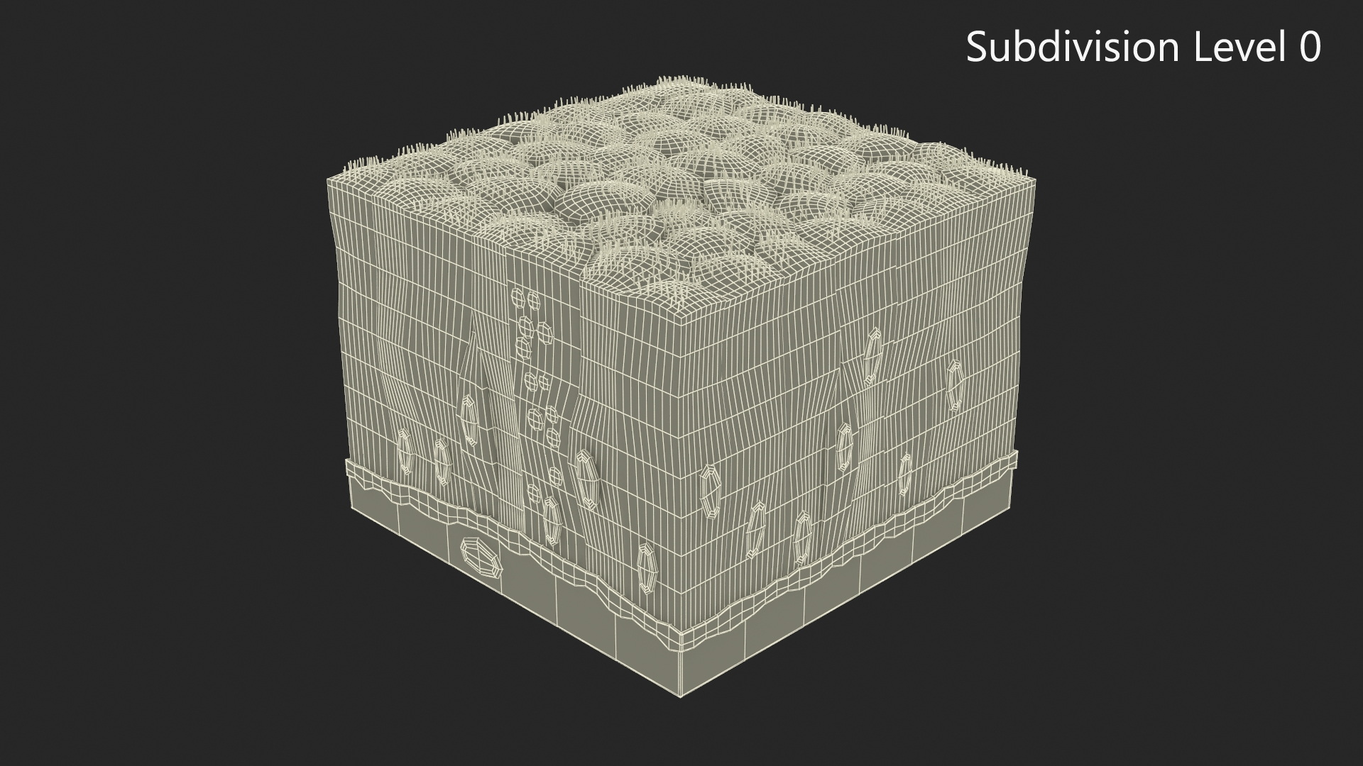 Ciliated Epithelium 3D model