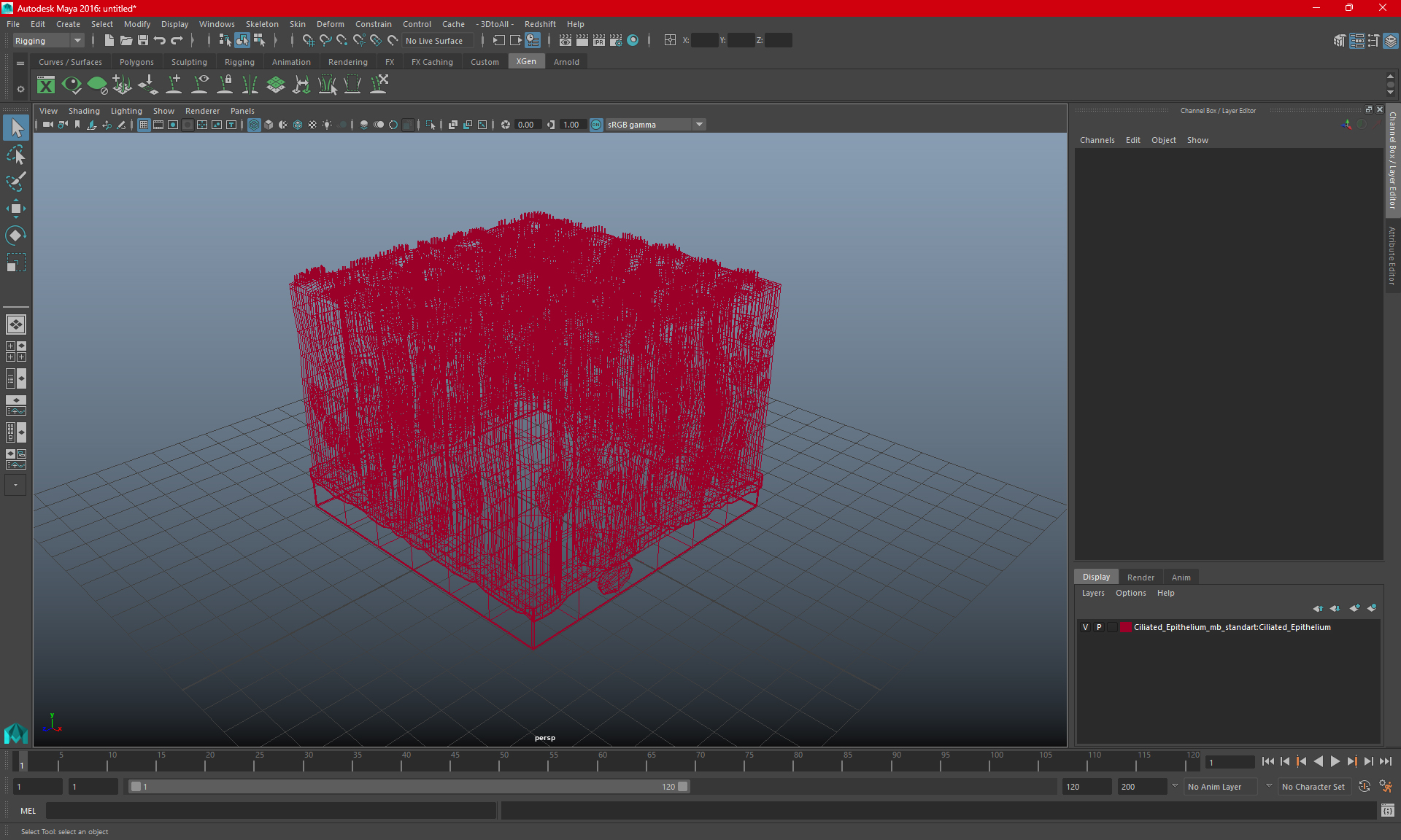 Ciliated Epithelium 3D model