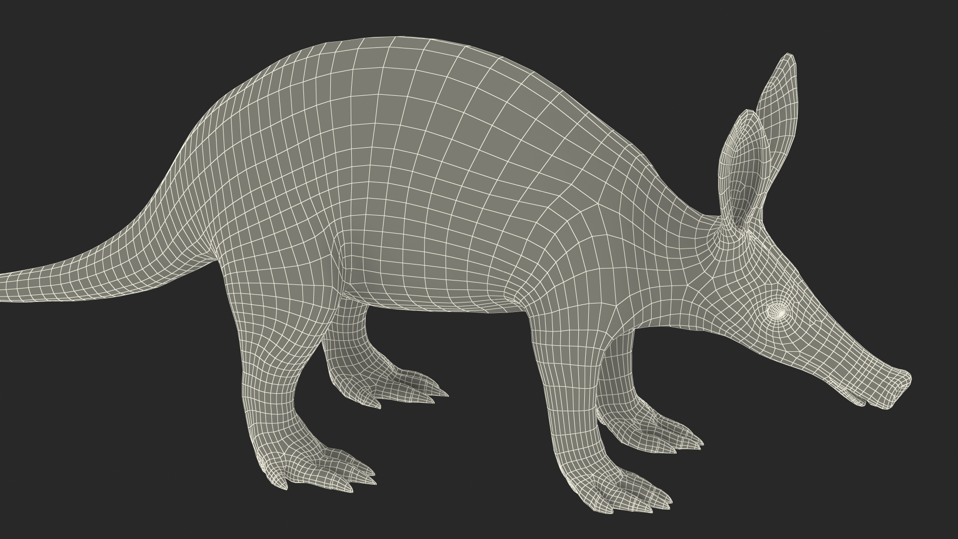 3D Orycteropus Afer Rigged model