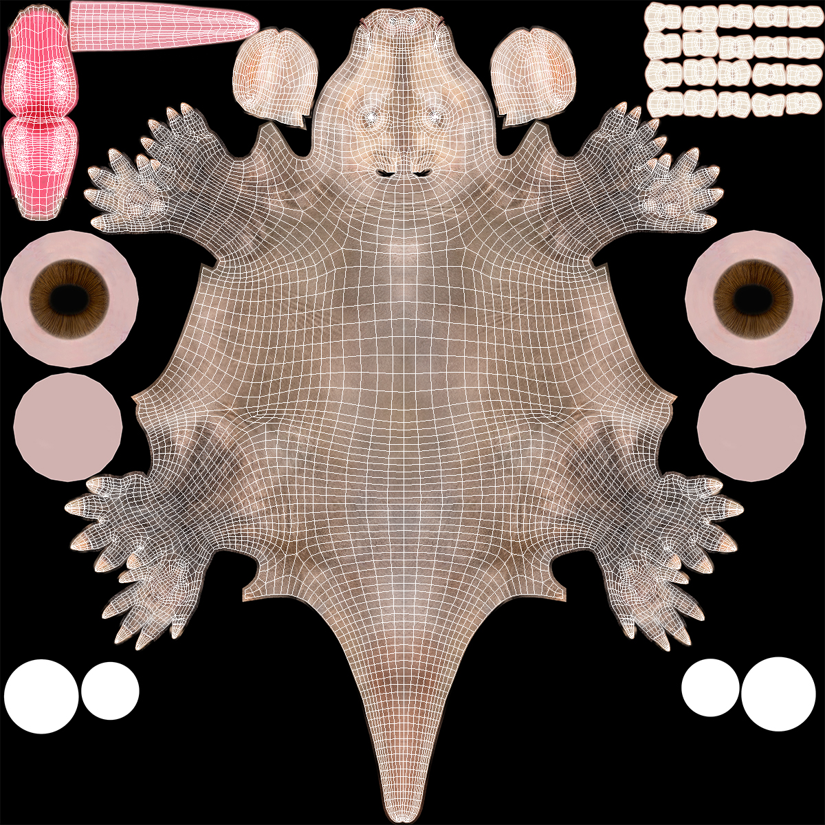 3D Orycteropus Afer Rigged model