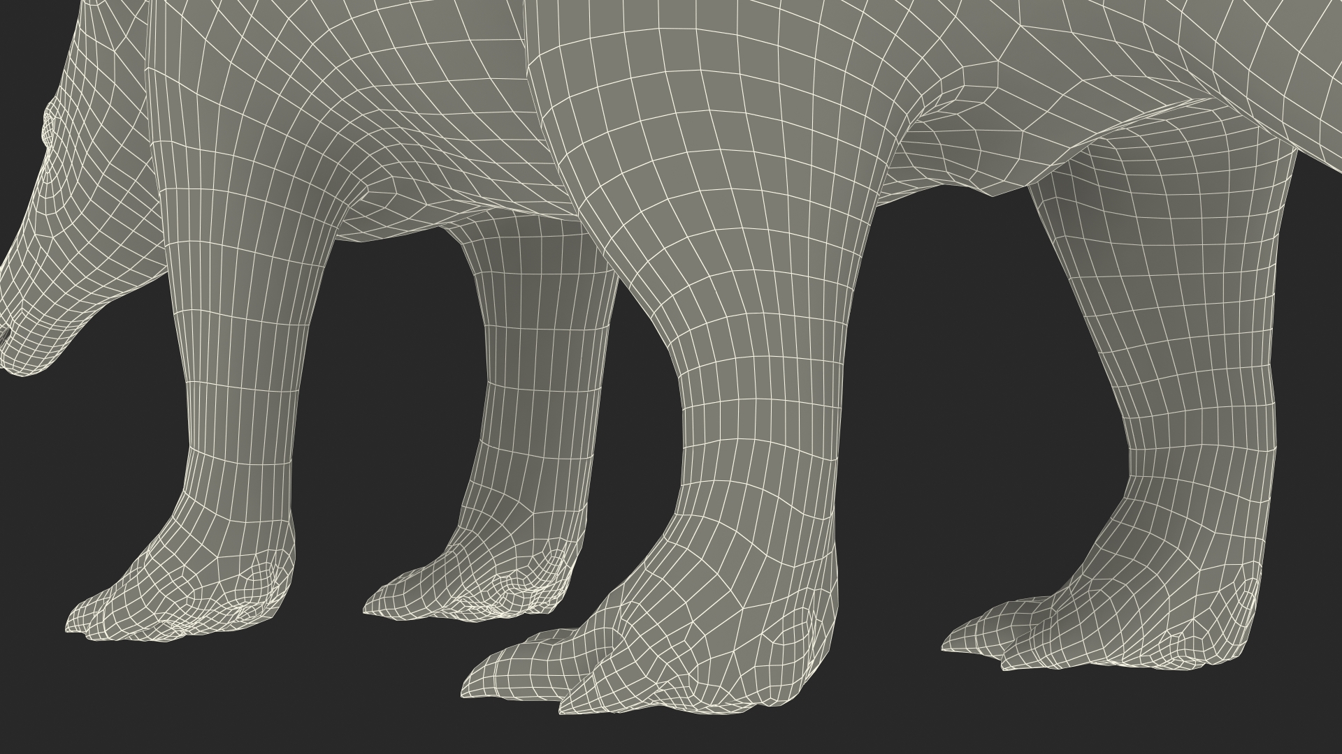 3D Orycteropus Afer Rigged model