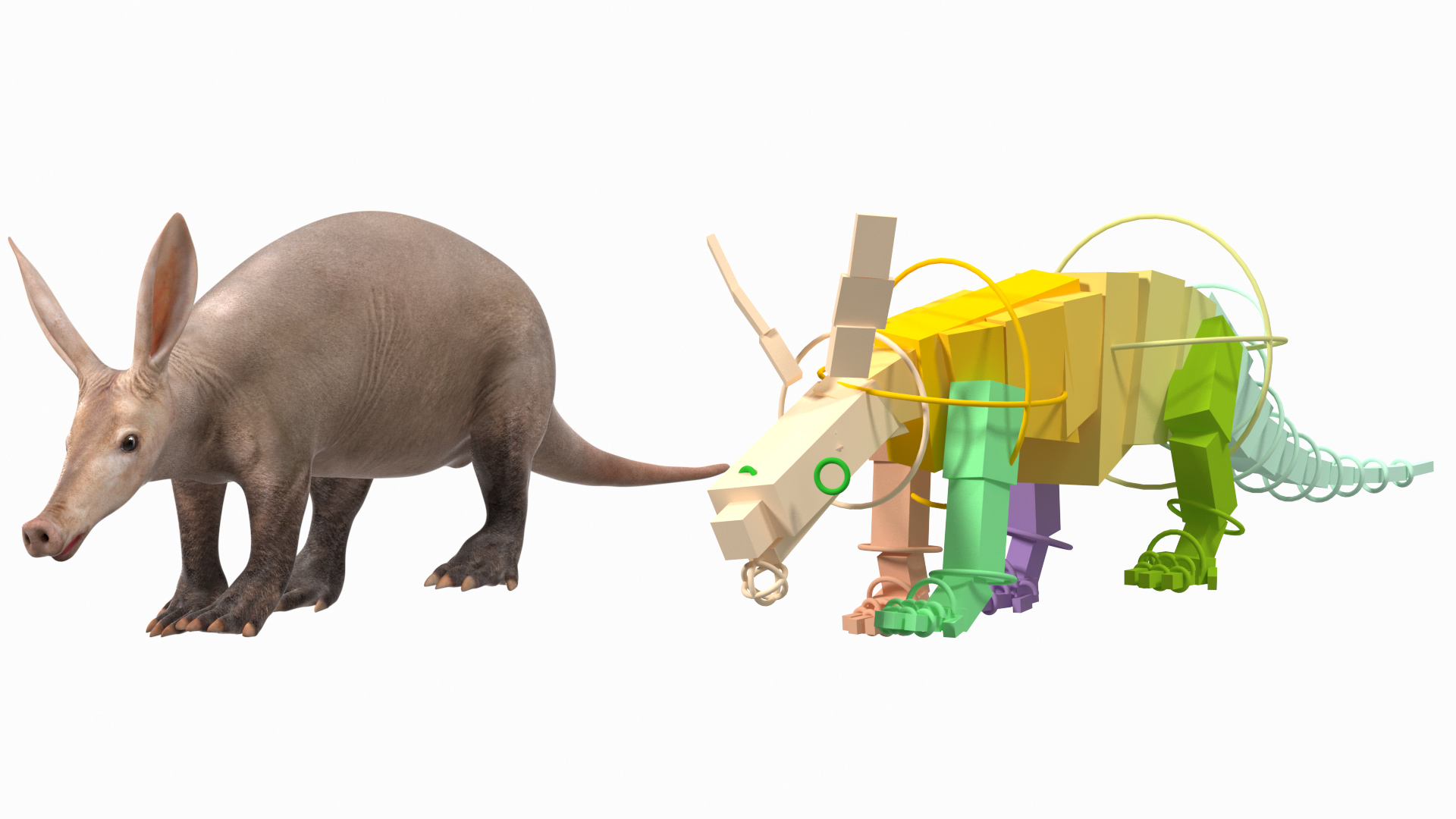 3D Orycteropus Afer Rigged model