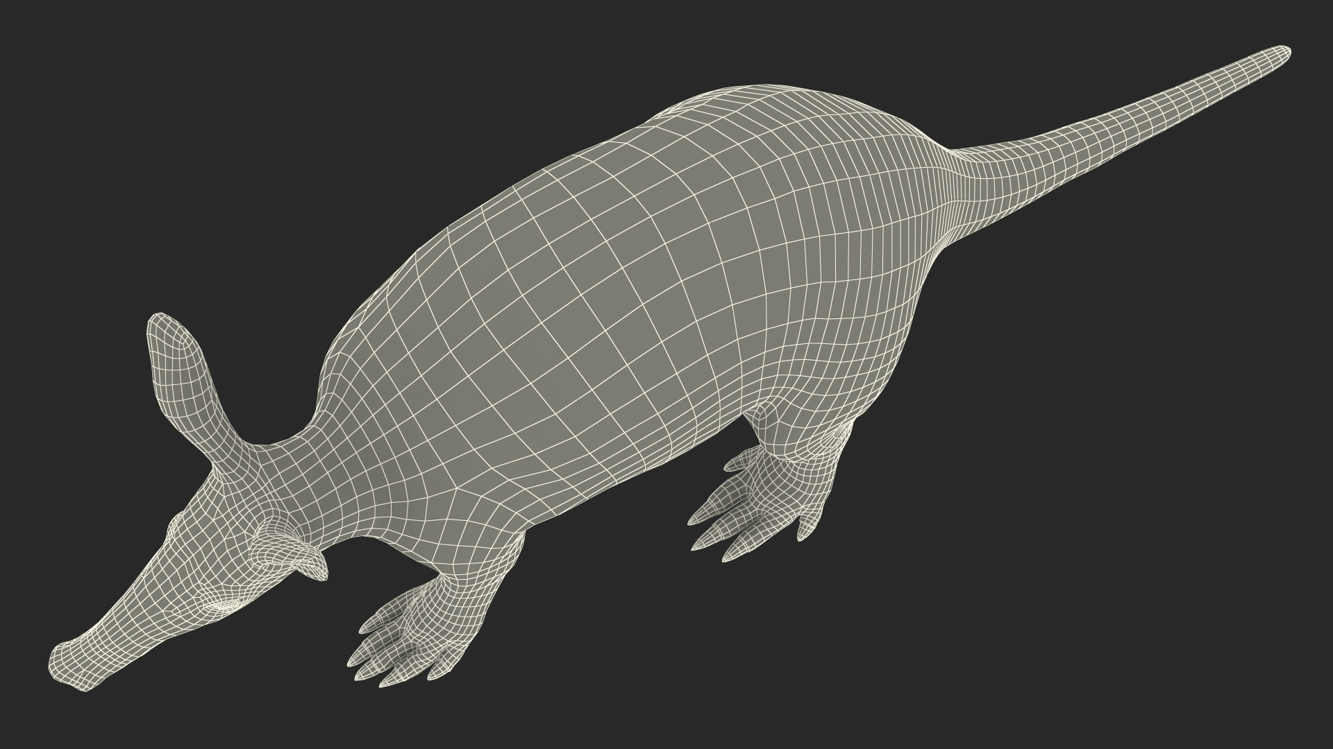 3D Orycteropus Afer Rigged model