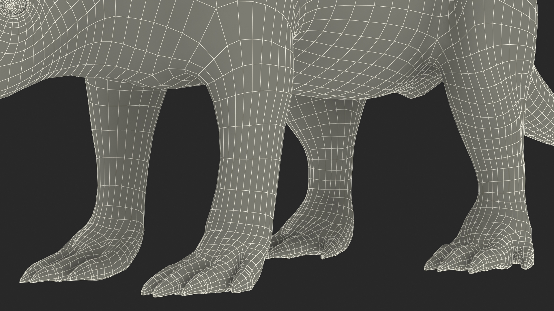 3D Orycteropus Afer Rigged model