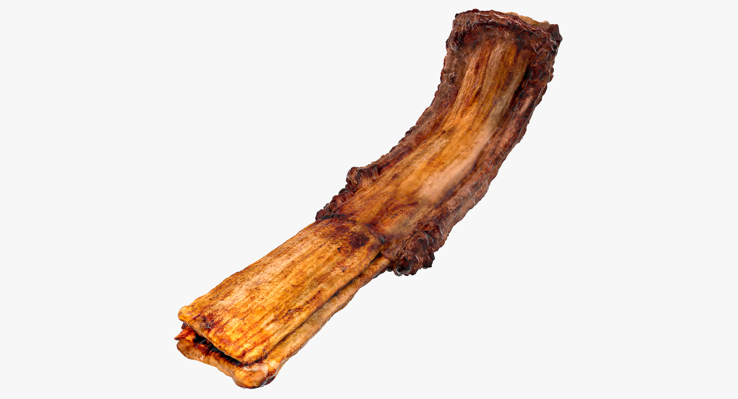 3D Grilled Rib