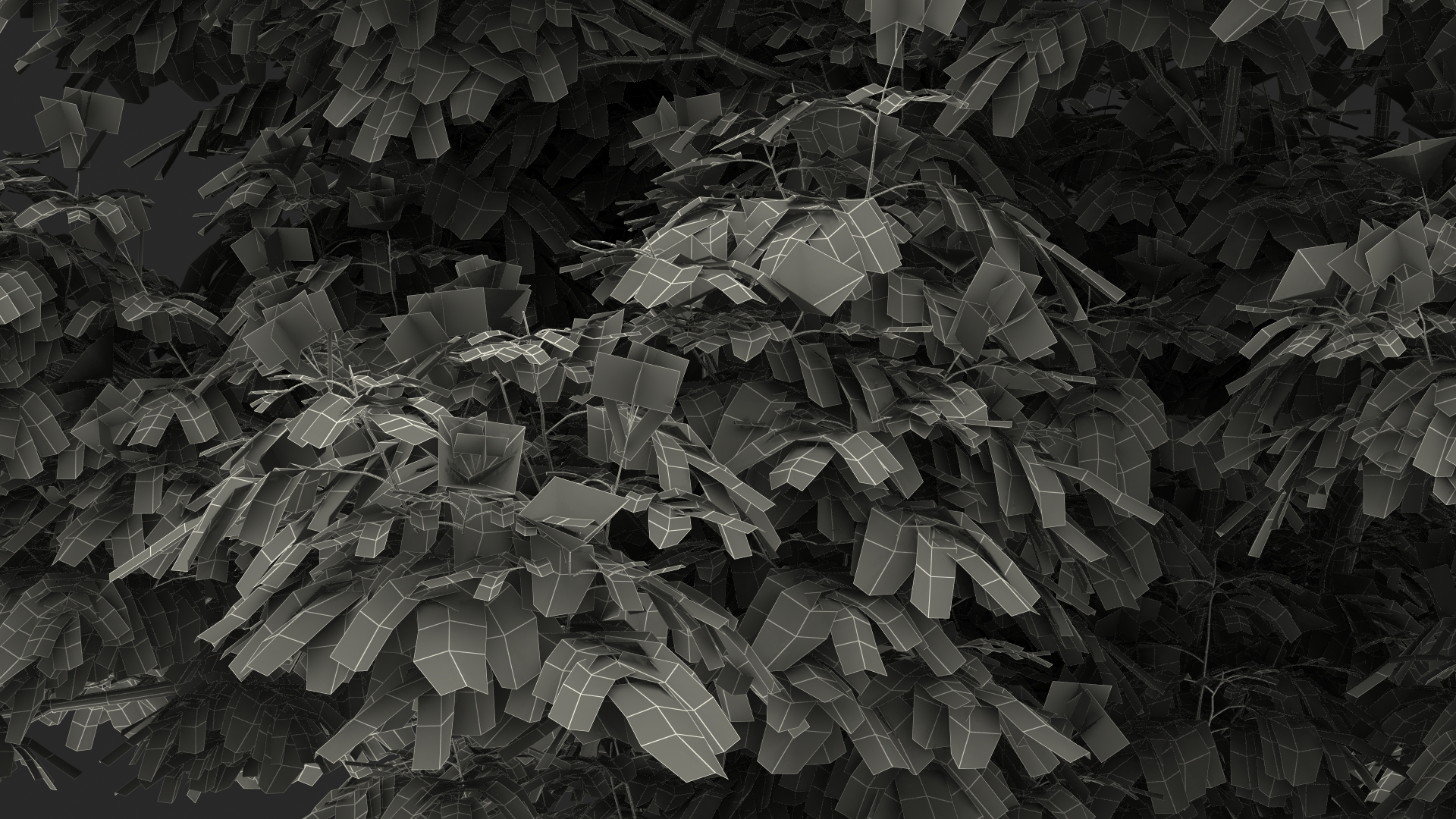 Albizia Lebbeck Blooming 3D model