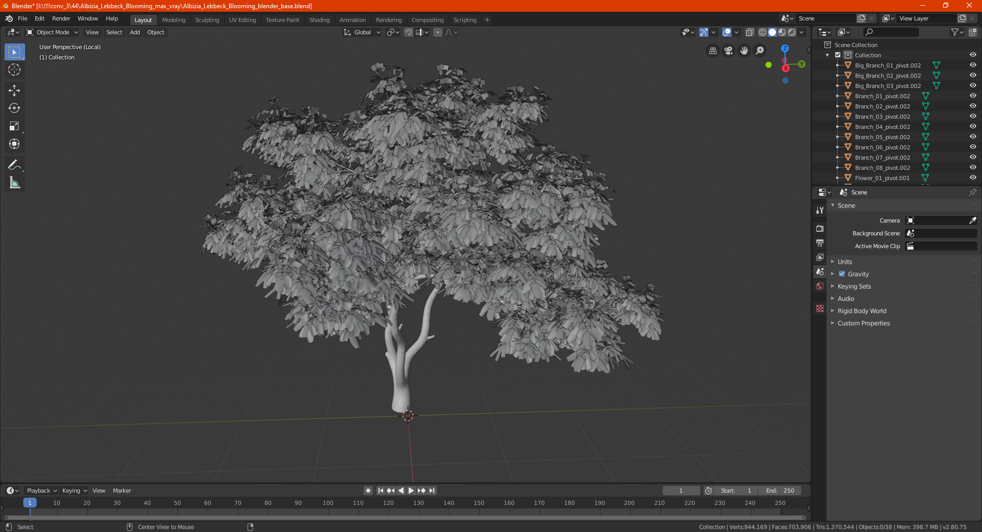 Albizia Lebbeck Blooming 3D model