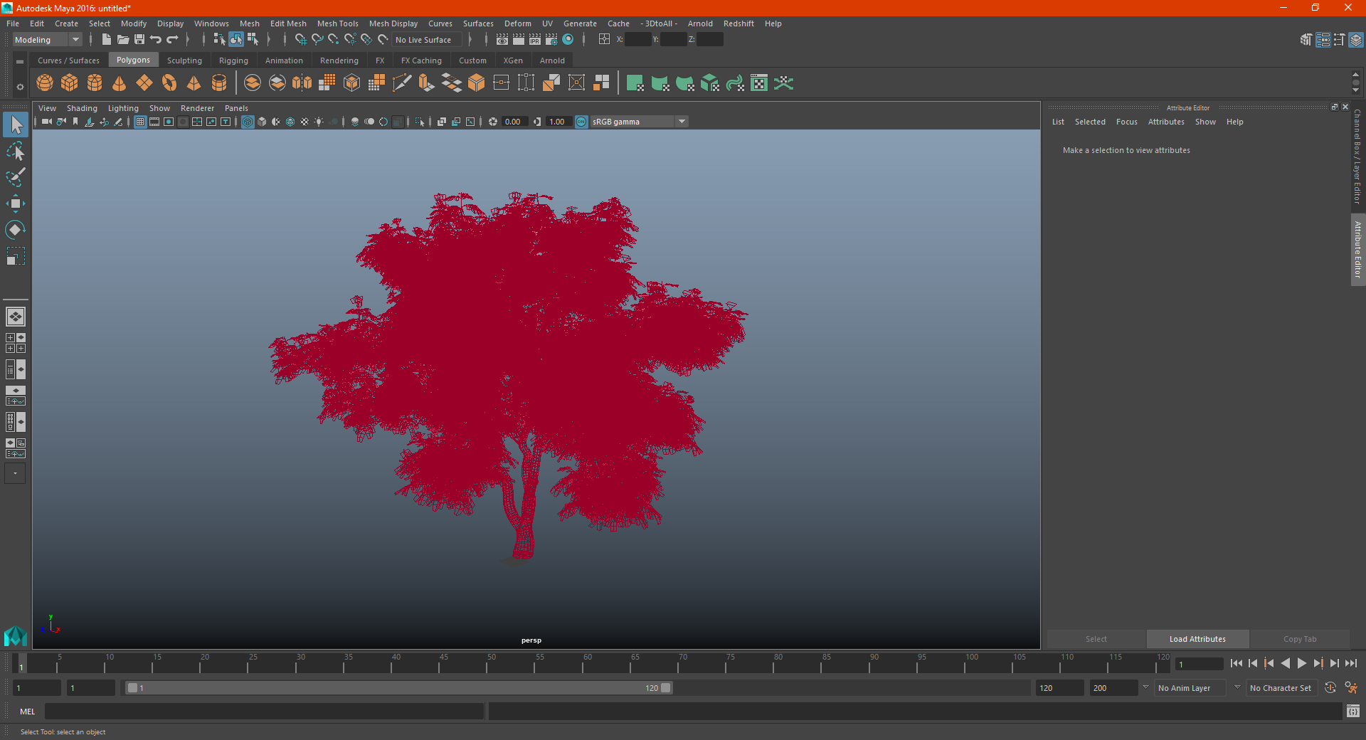Albizia Lebbeck Blooming 3D model