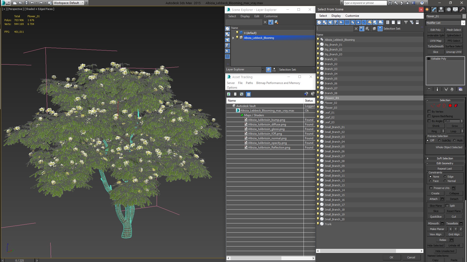 Albizia Lebbeck Blooming 3D model