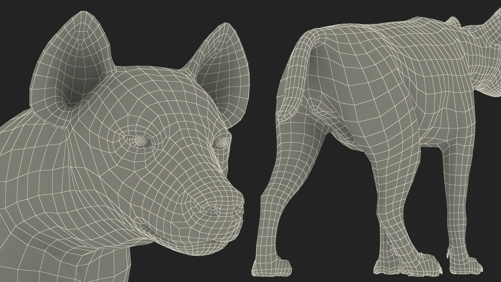 3D Hyena Walking Pose model