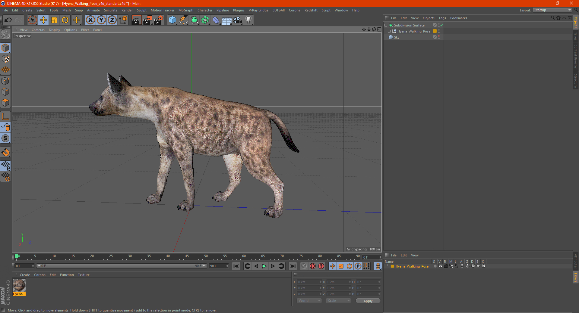 3D Hyena Walking Pose model