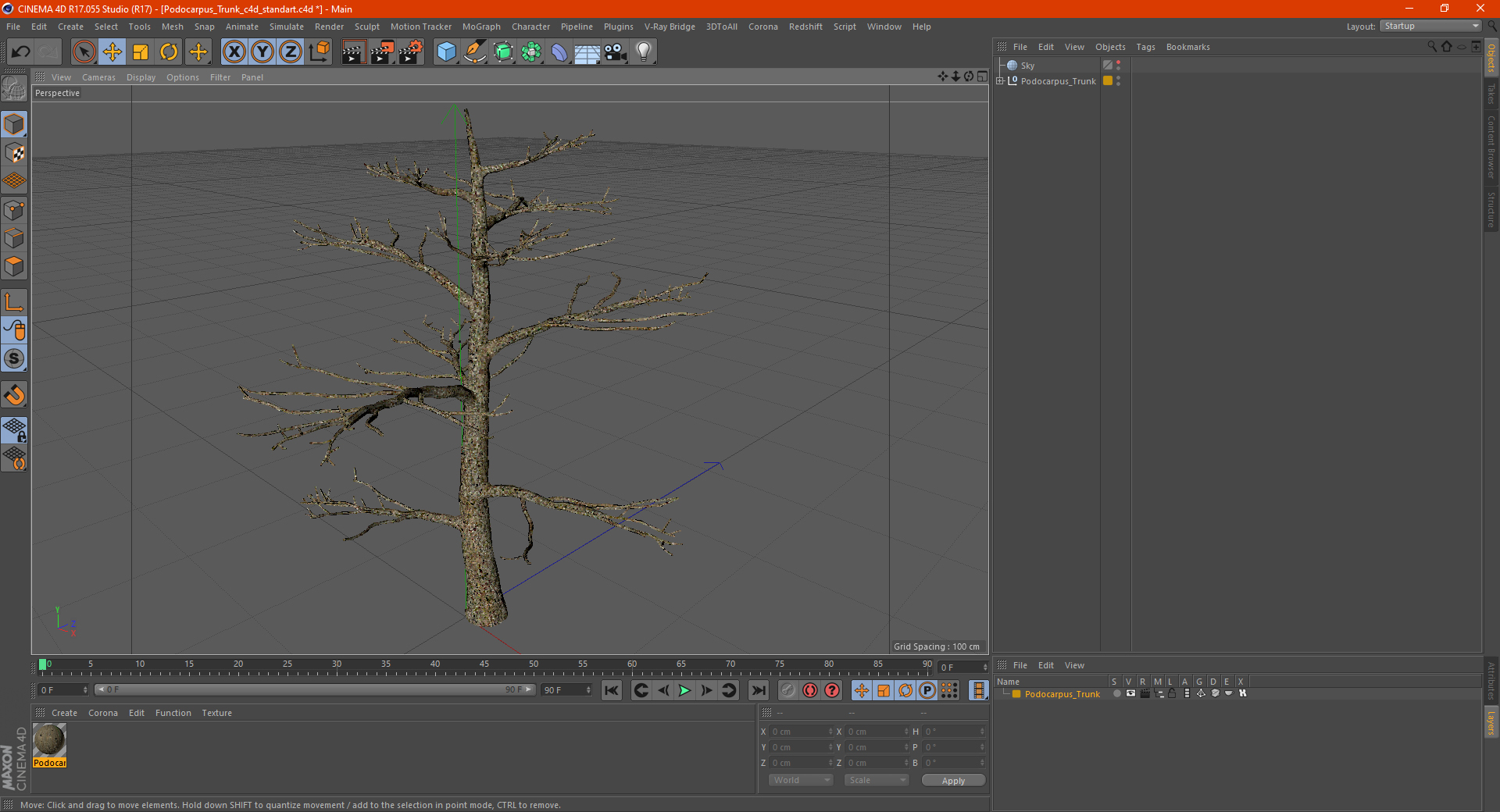 3D Podocarpus Trunk