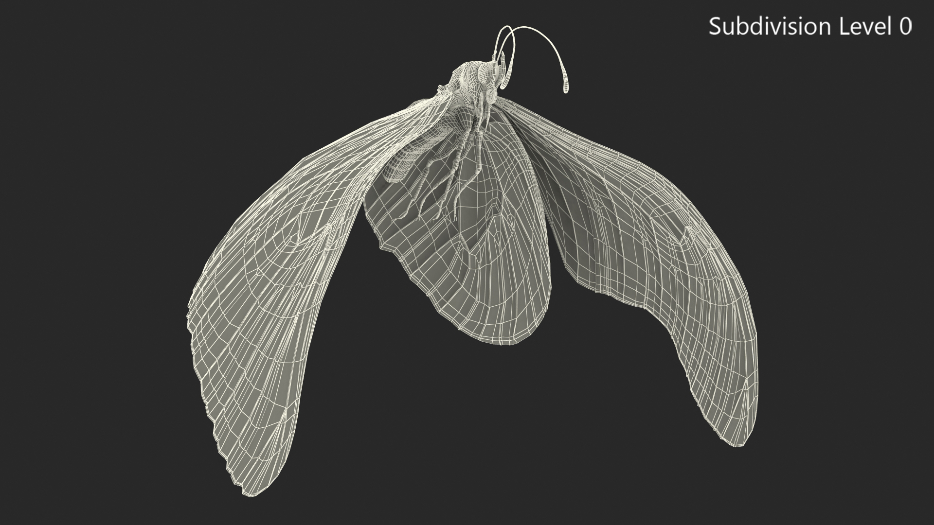 3D model Animated Flight Monarch Butterfly Rigged