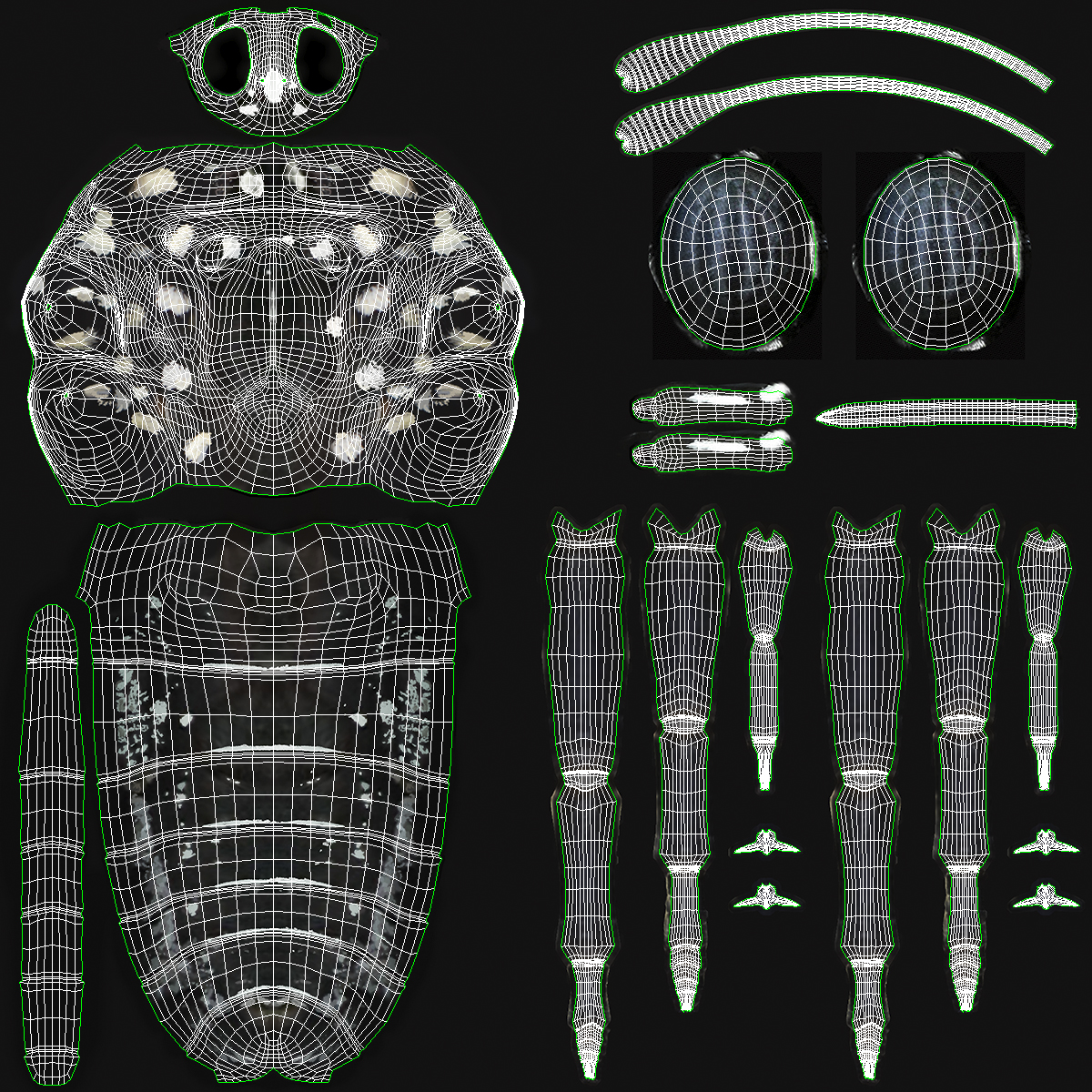 3D model Animated Flight Monarch Butterfly Rigged