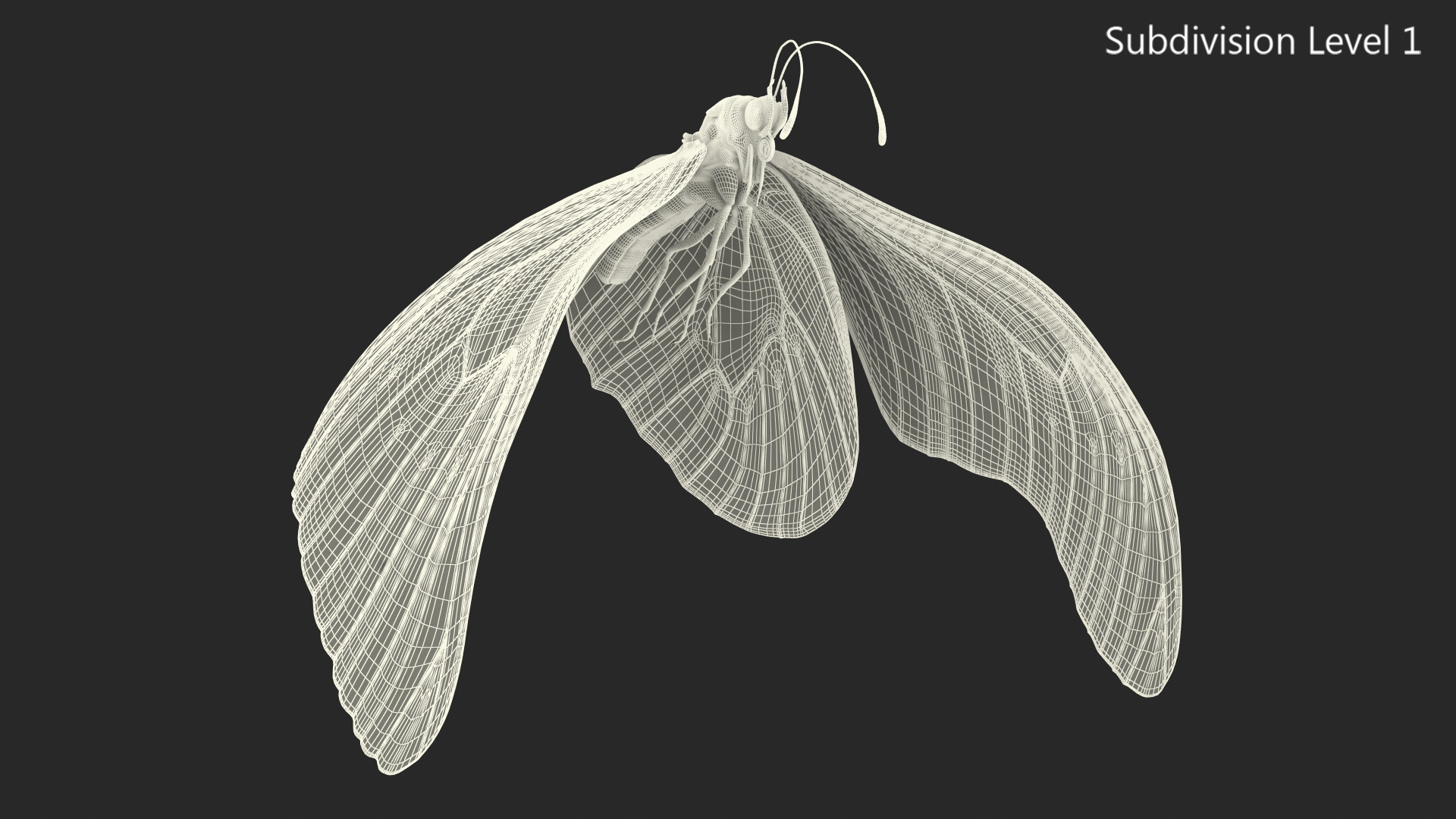 3D model Animated Flight Monarch Butterfly Rigged