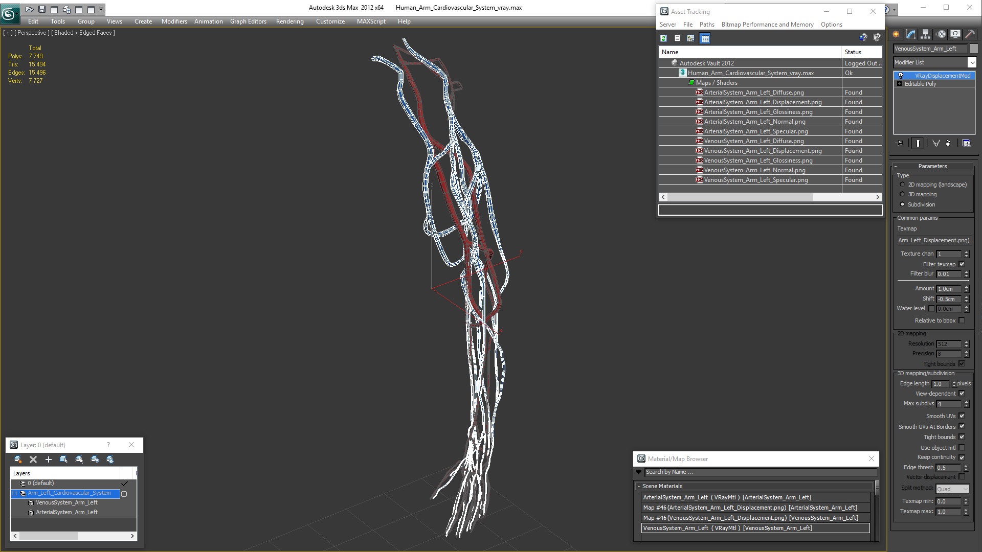 3D Human Arm Cardiovascular System
