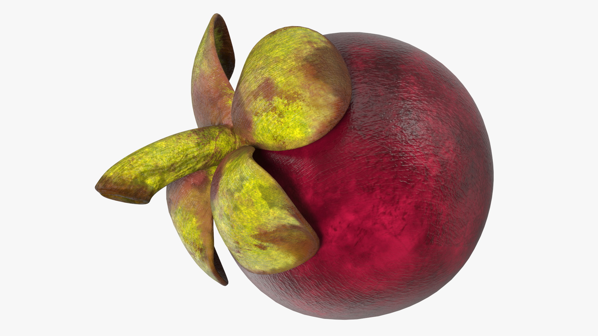 3D Thailand Mangosteen Whole and Half Cut model