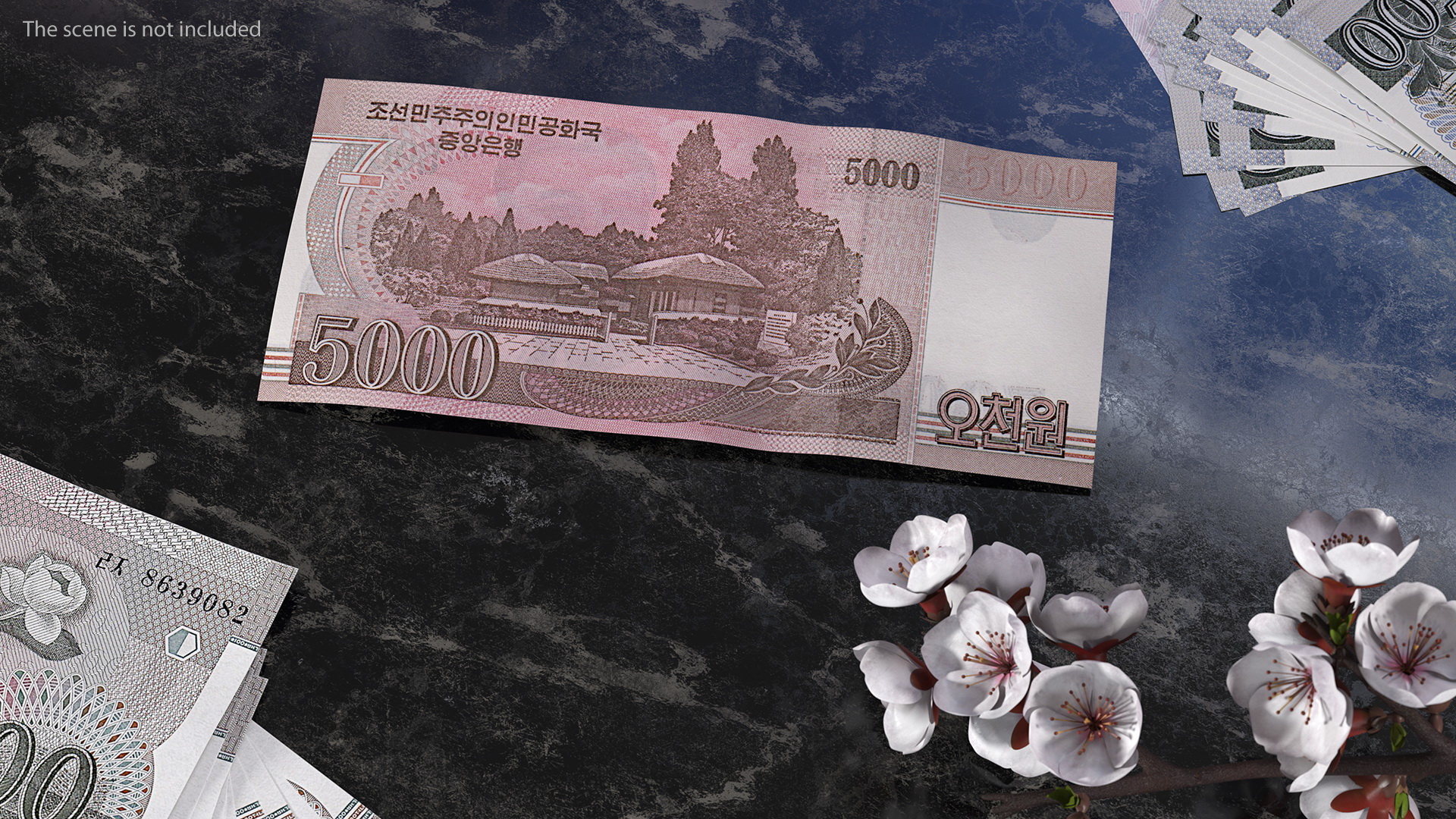 North Korea 5000 Won Banknote 2008 3D model