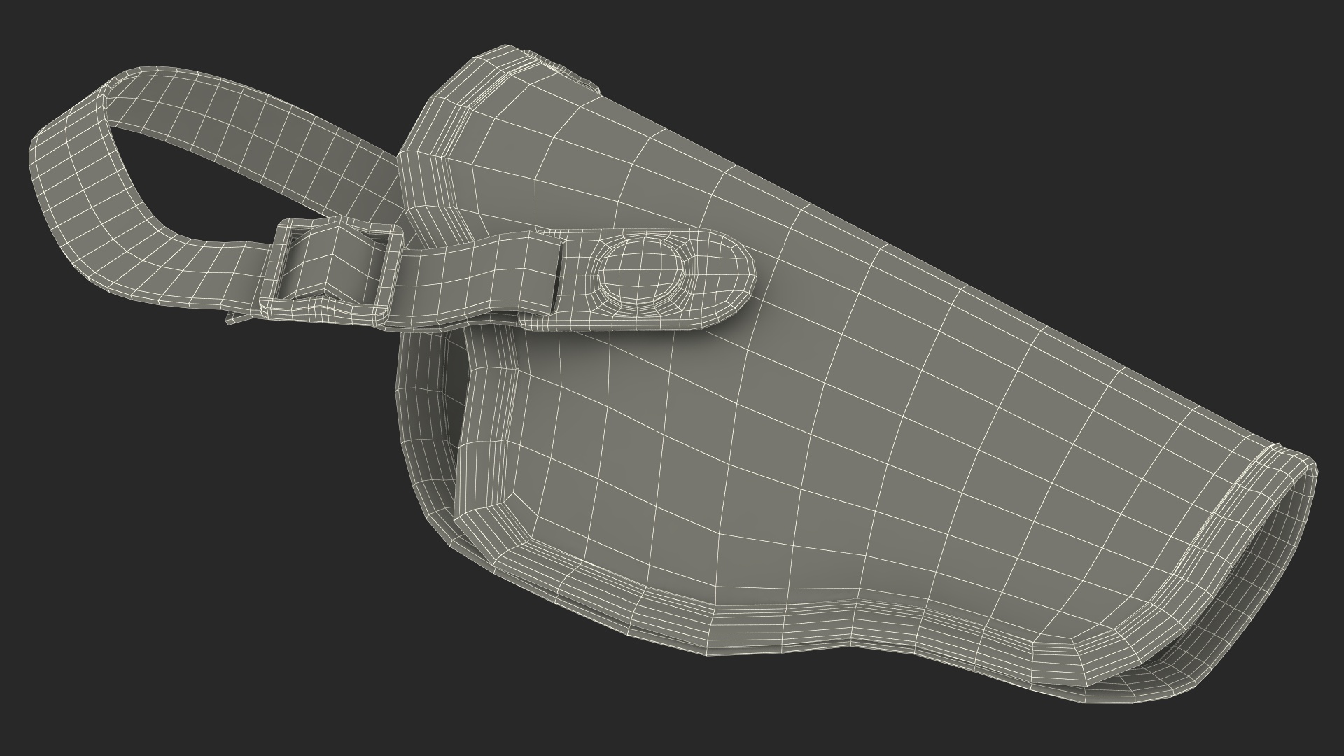 3D model Fabric Carry Holster