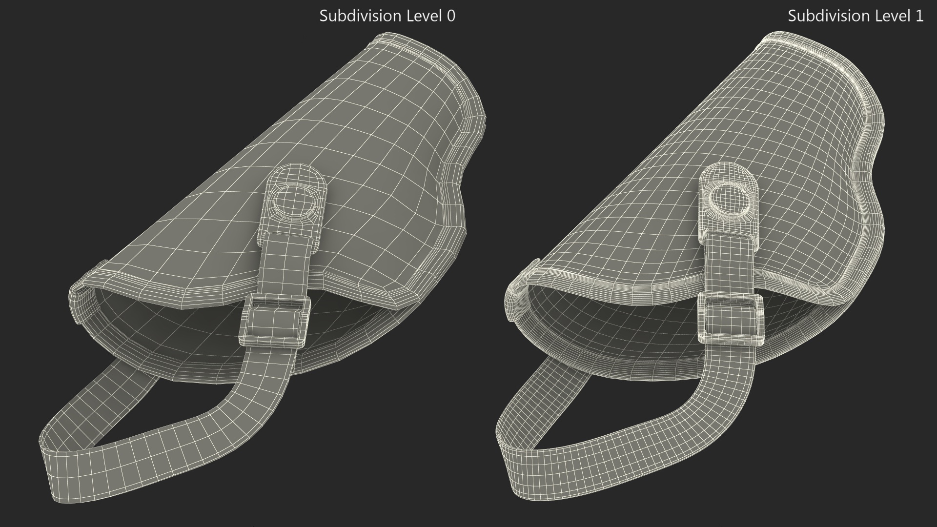 3D model Fabric Carry Holster