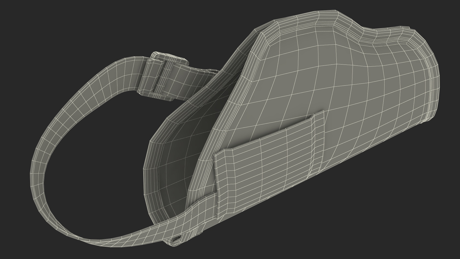 3D model Fabric Carry Holster