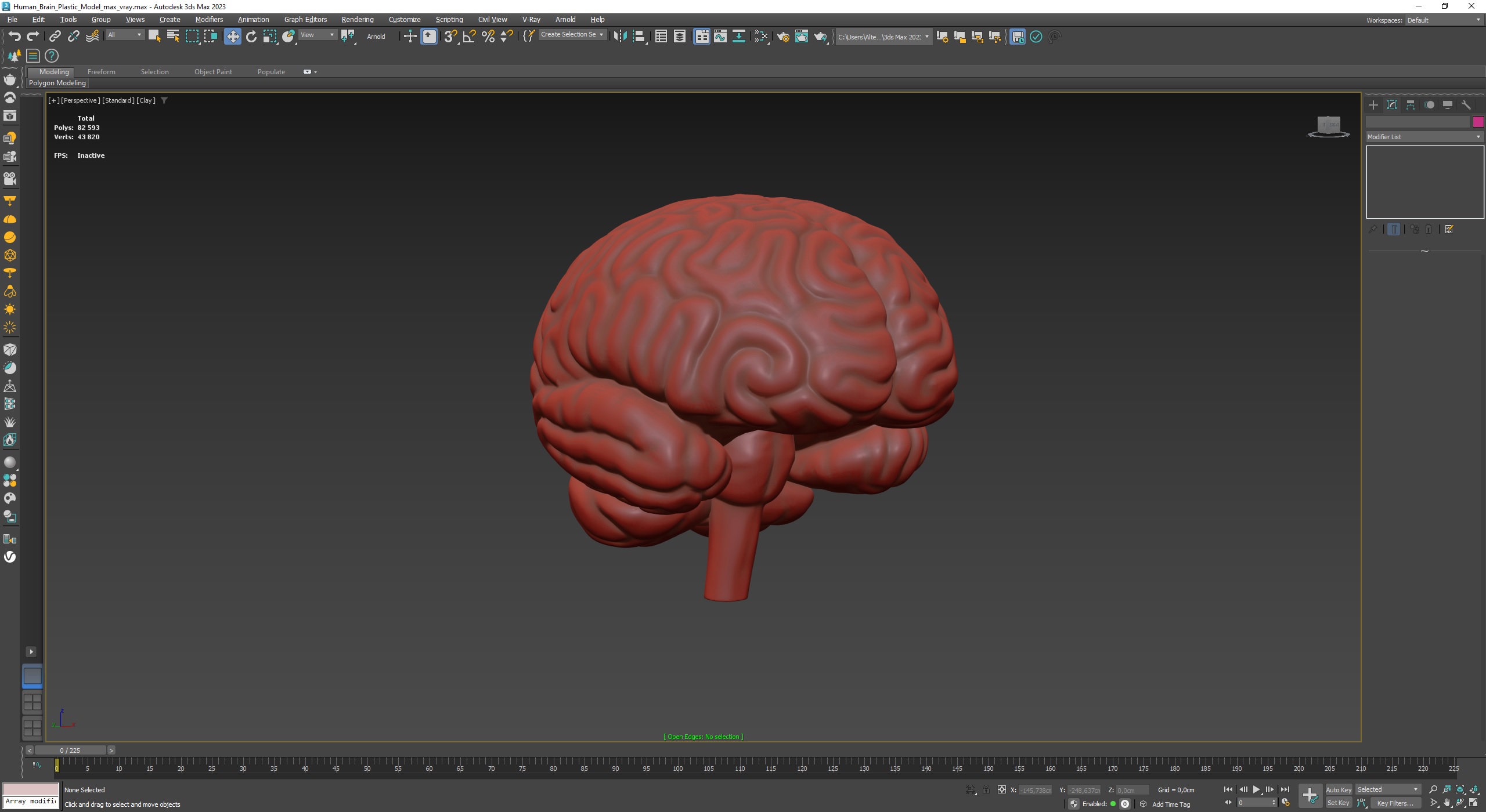3D Human Brain Plastic Model for 3D Print model