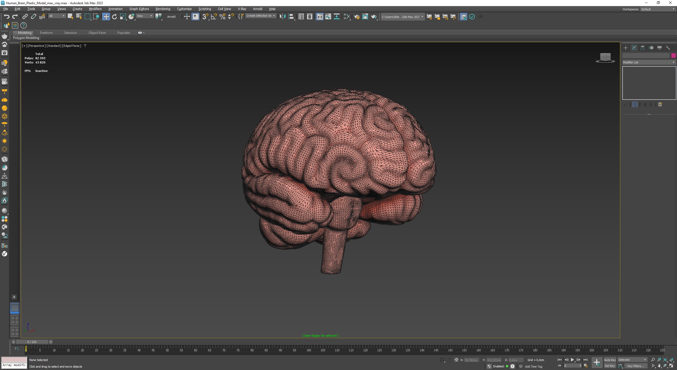 3D Human Brain Plastic Model for 3D Print model