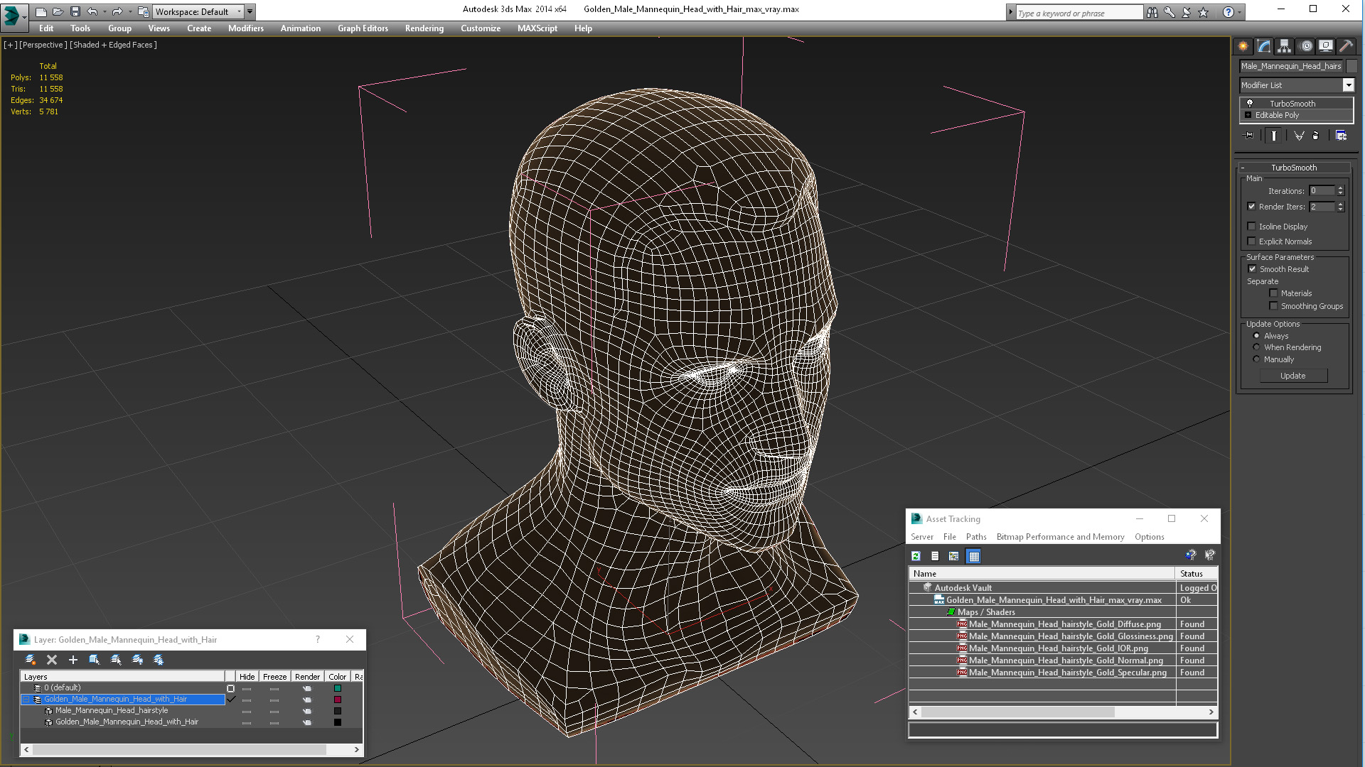 3D Golden Male Mannequin Head with Hair