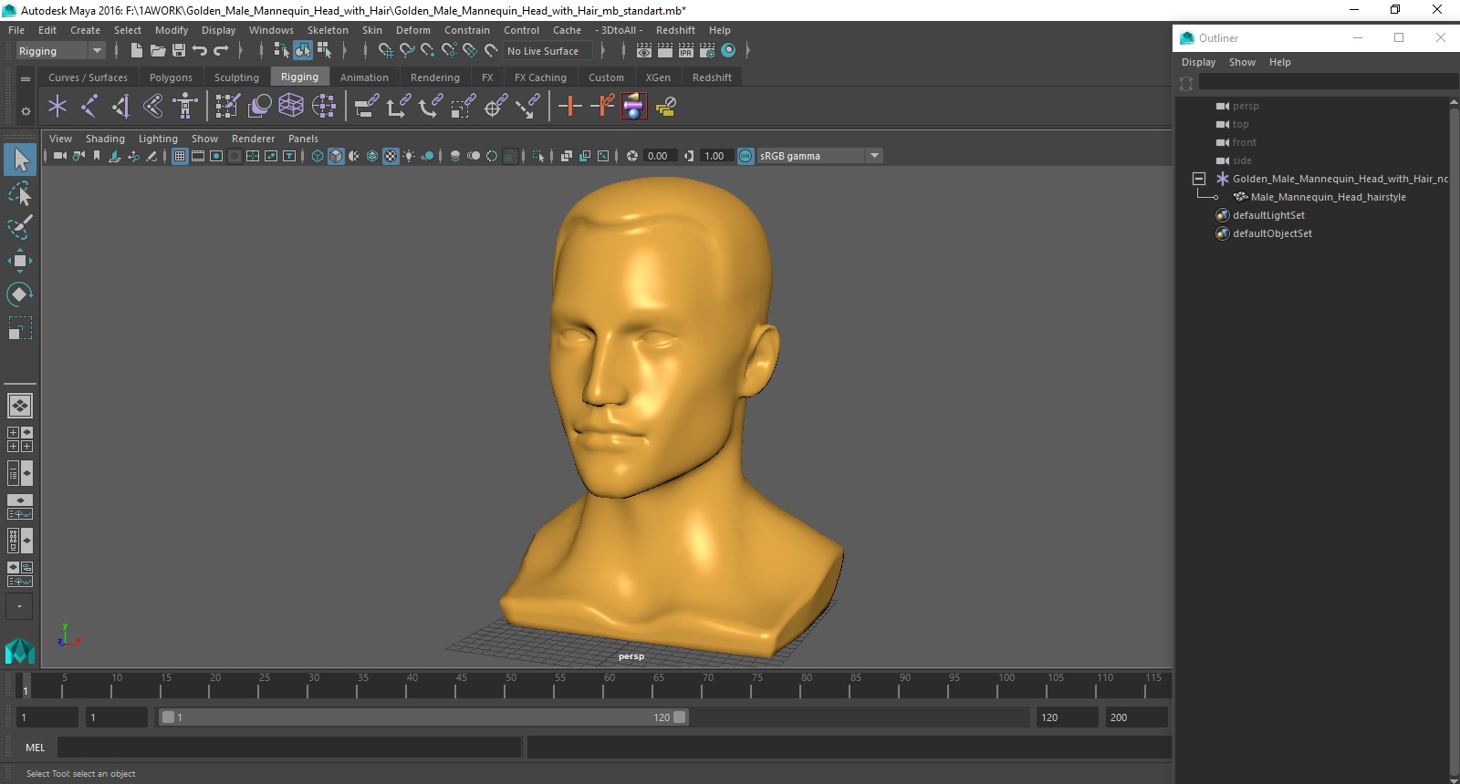 3D Golden Male Mannequin Head with Hair