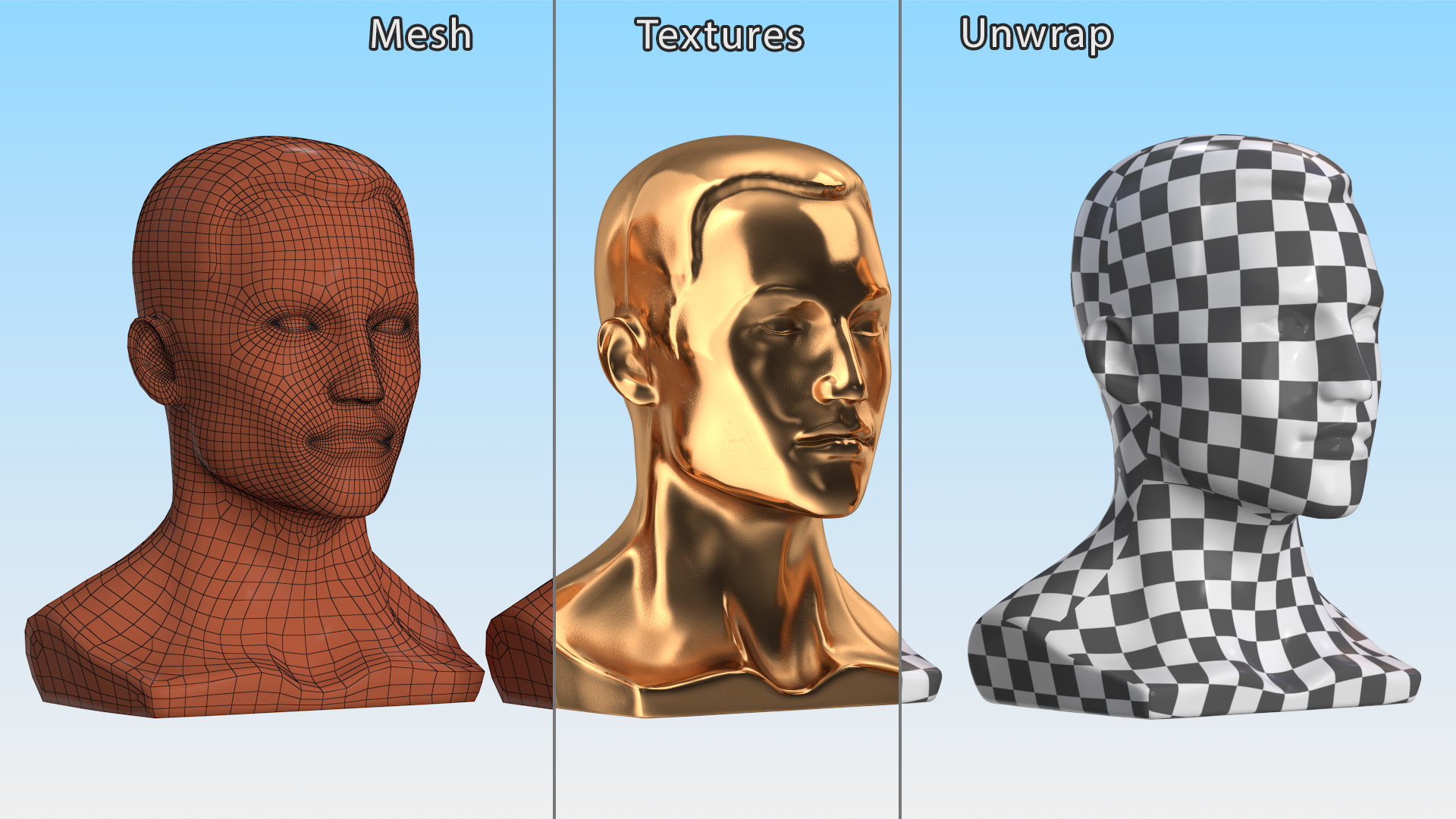 3D Golden Male Mannequin Head with Hair