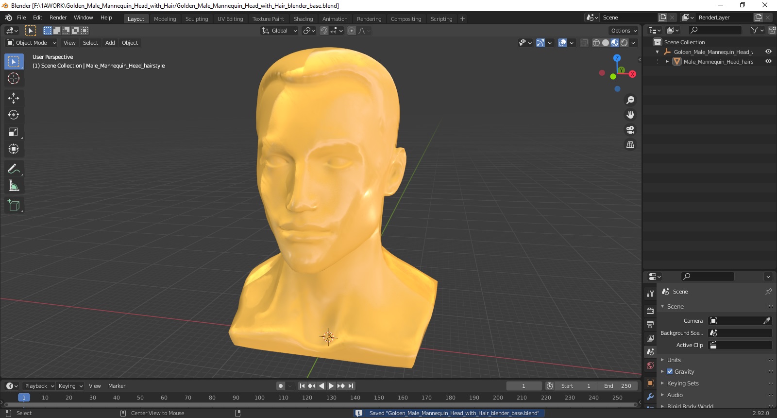 3D Golden Male Mannequin Head with Hair