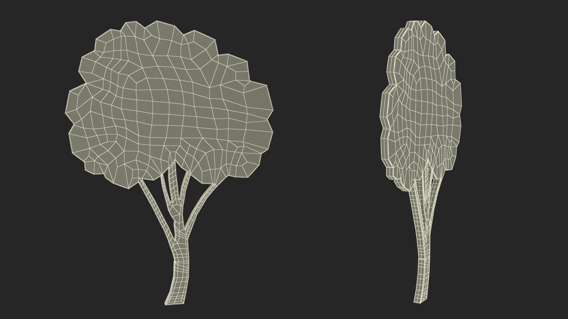 3D Fruit Tree Silhouette