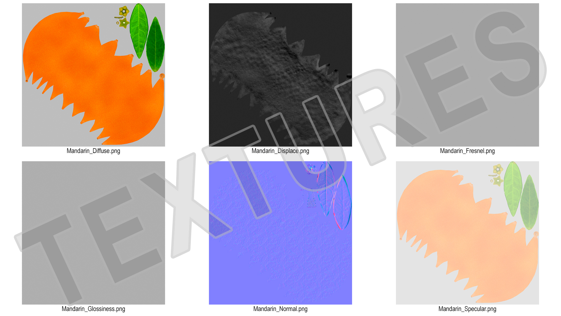 3D model Mandarin