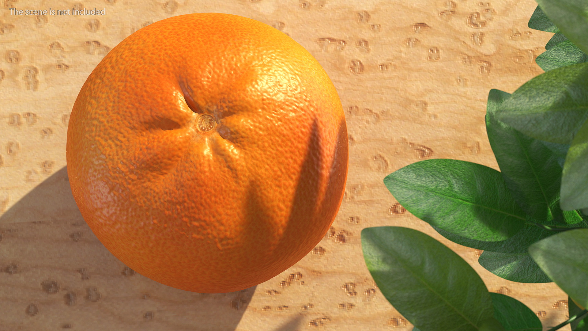 3D model Mandarin
