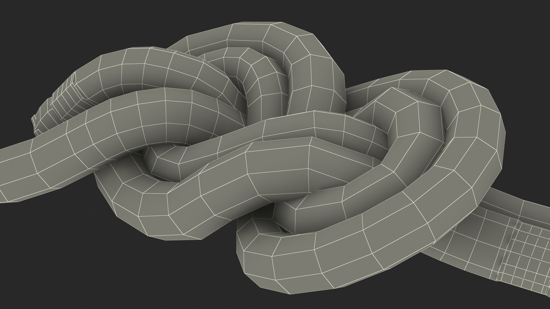 3D Figure 8 Bend Knot model