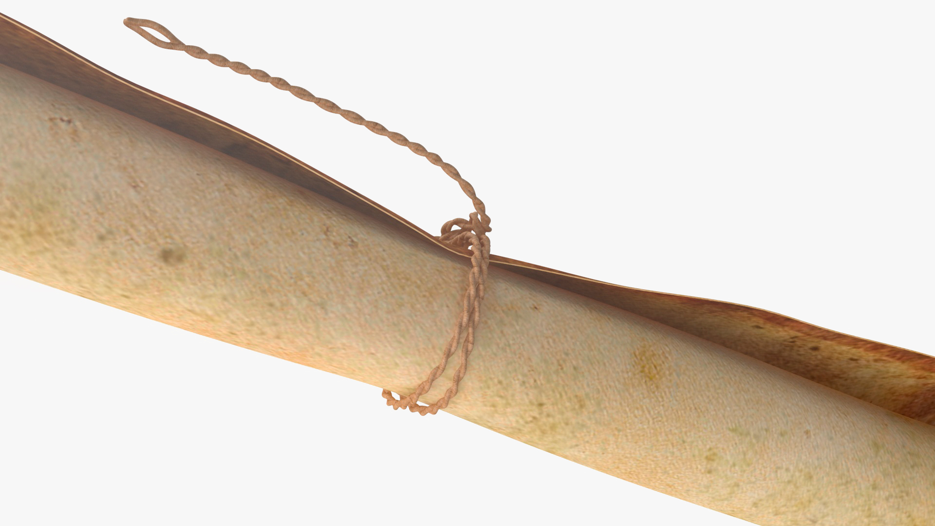 3D Old Rolled Paper with Quill Dark Feather Ink Set model