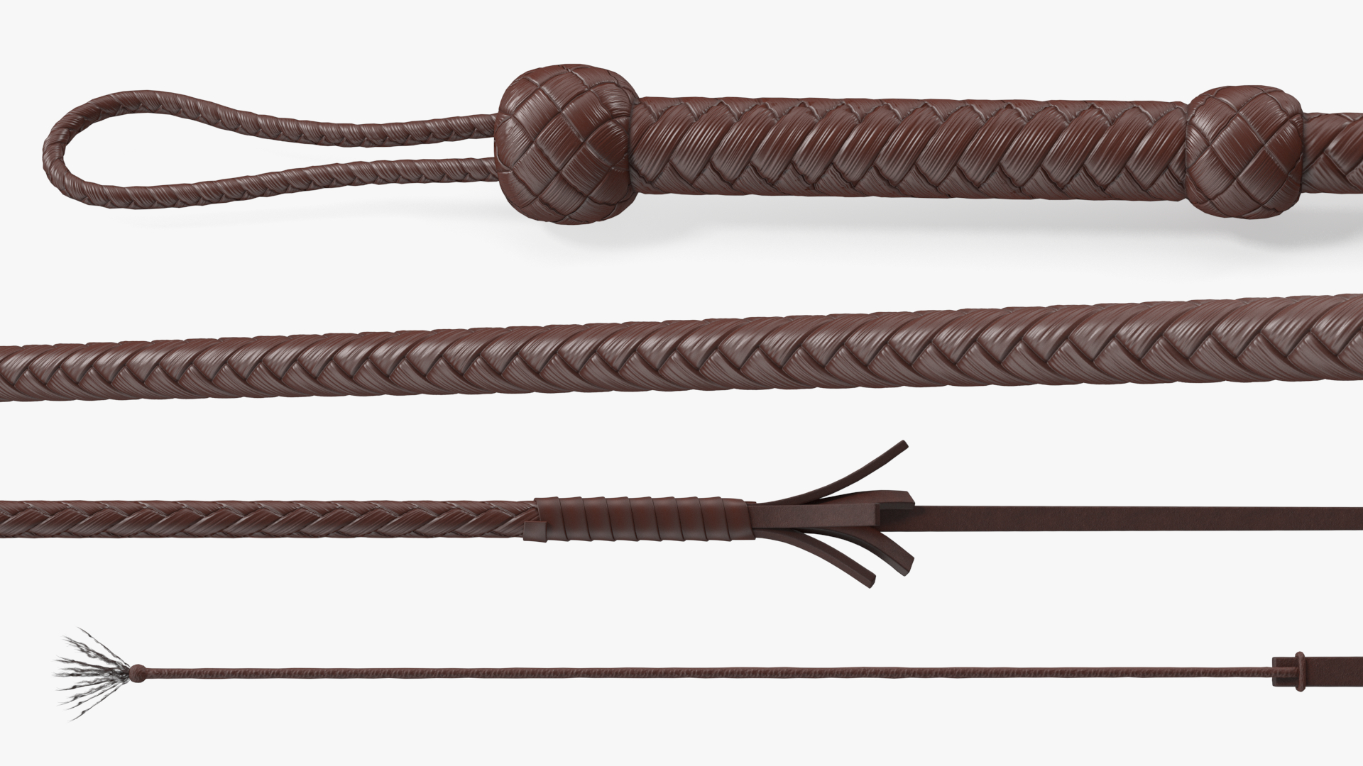 Cowboy Whip Brown Rigged 3D model