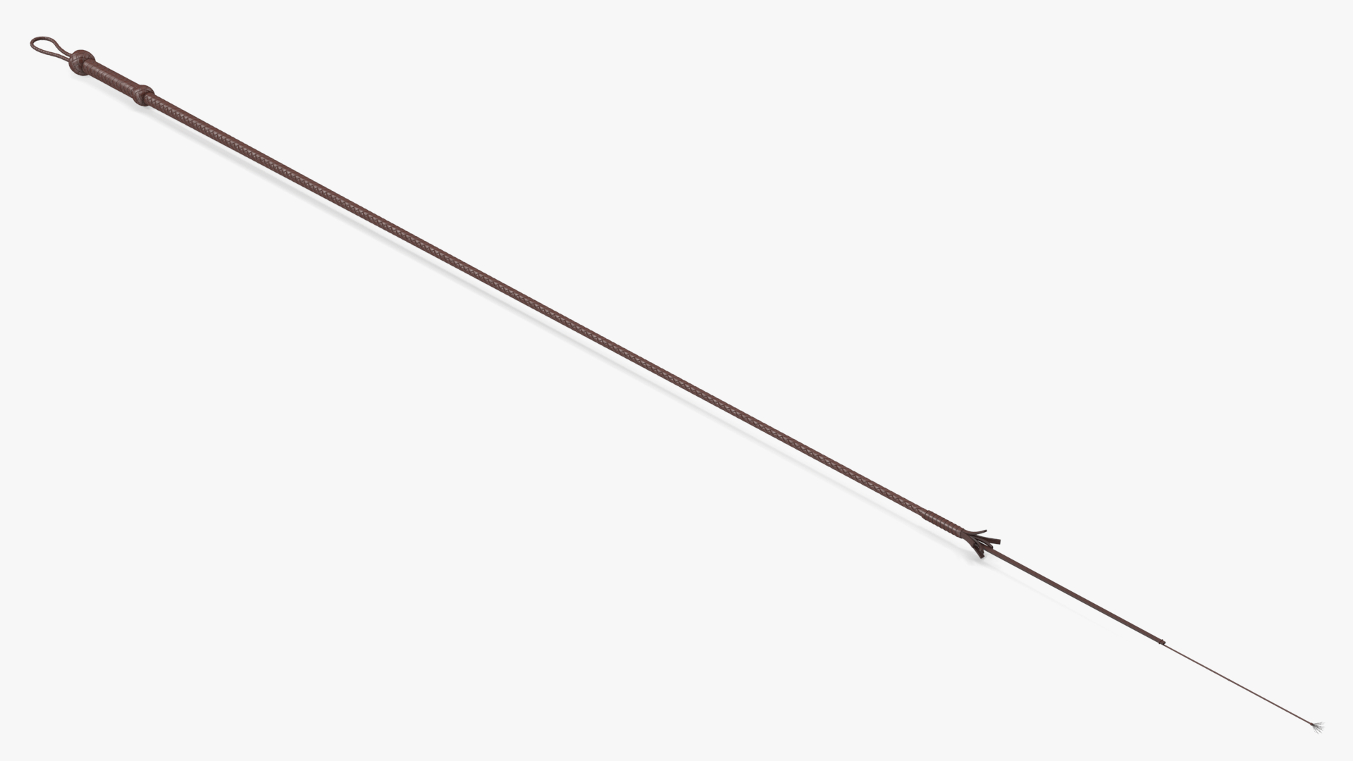 Cowboy Whip Brown Rigged 3D model
