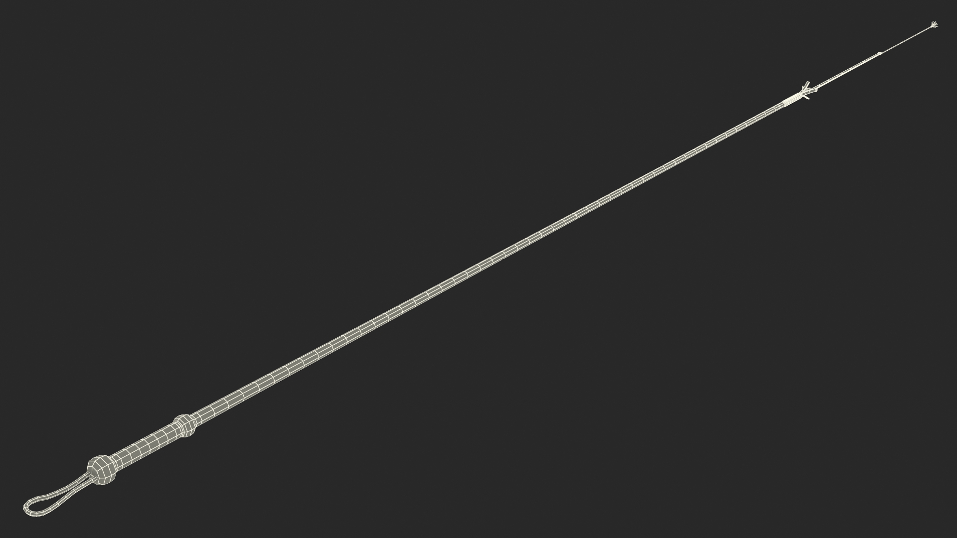 Cowboy Whip Brown Rigged 3D model