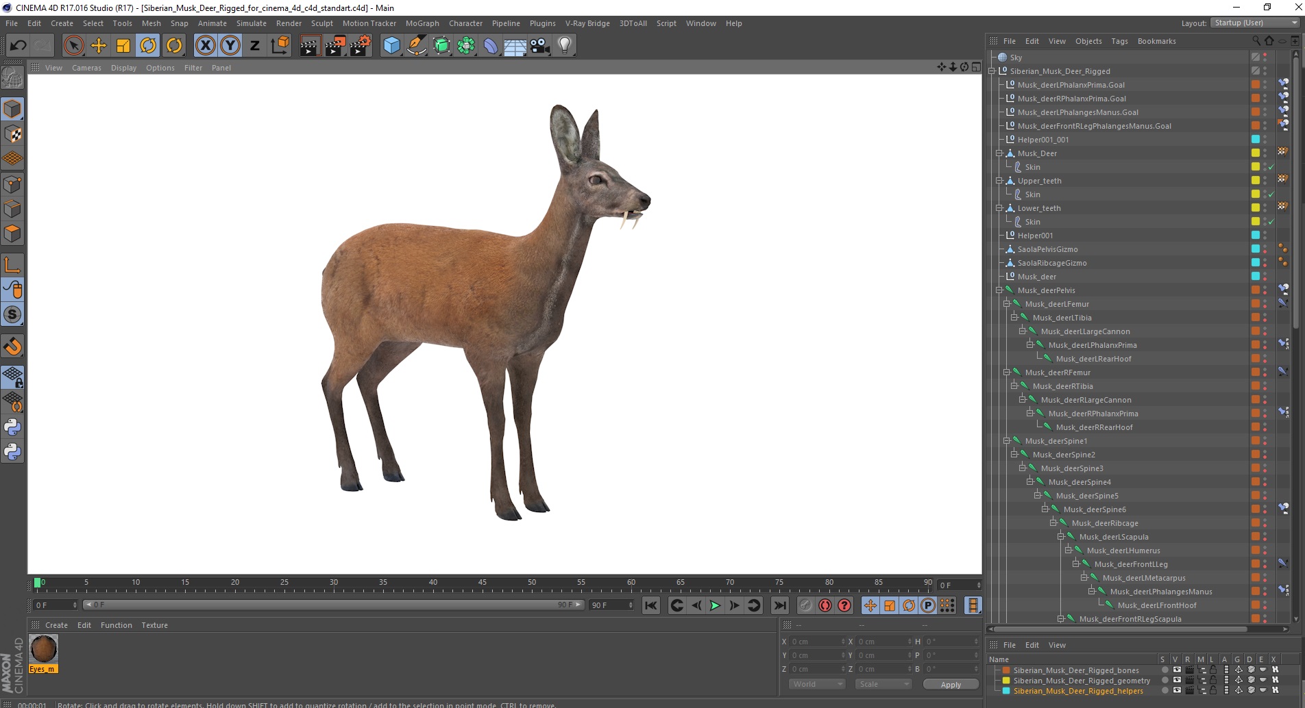 Siberian Musk Deer Rigged for Cinema 4D 3D model