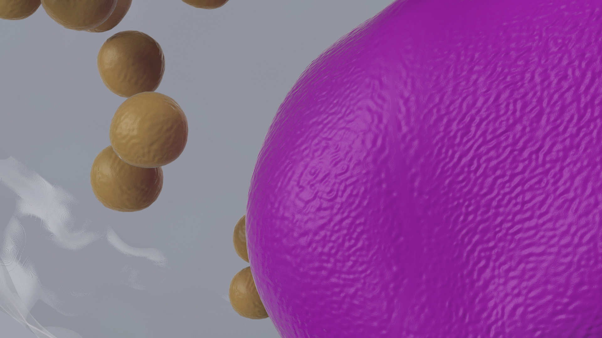 3D Macrophage Blood Cell