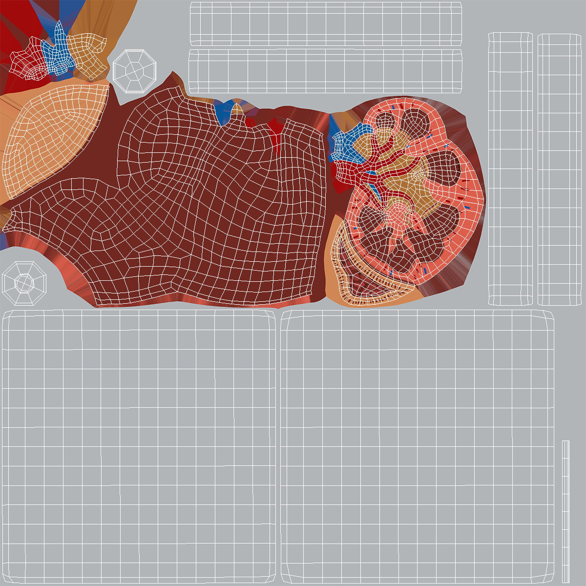 Medical Anatomical Kidney Human for 3D Print 3D model