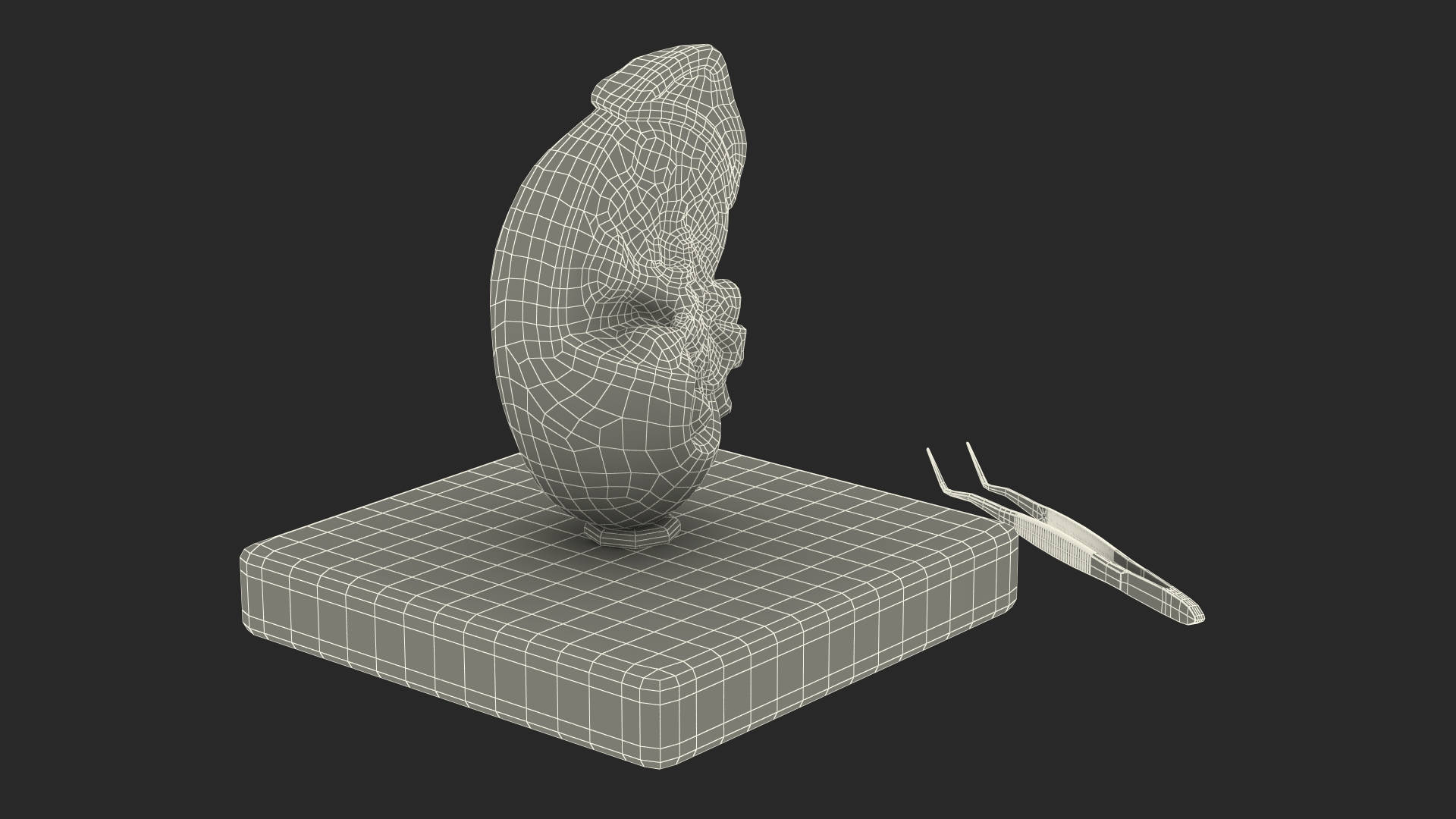 Medical Anatomical Kidney Human for 3D Print 3D model
